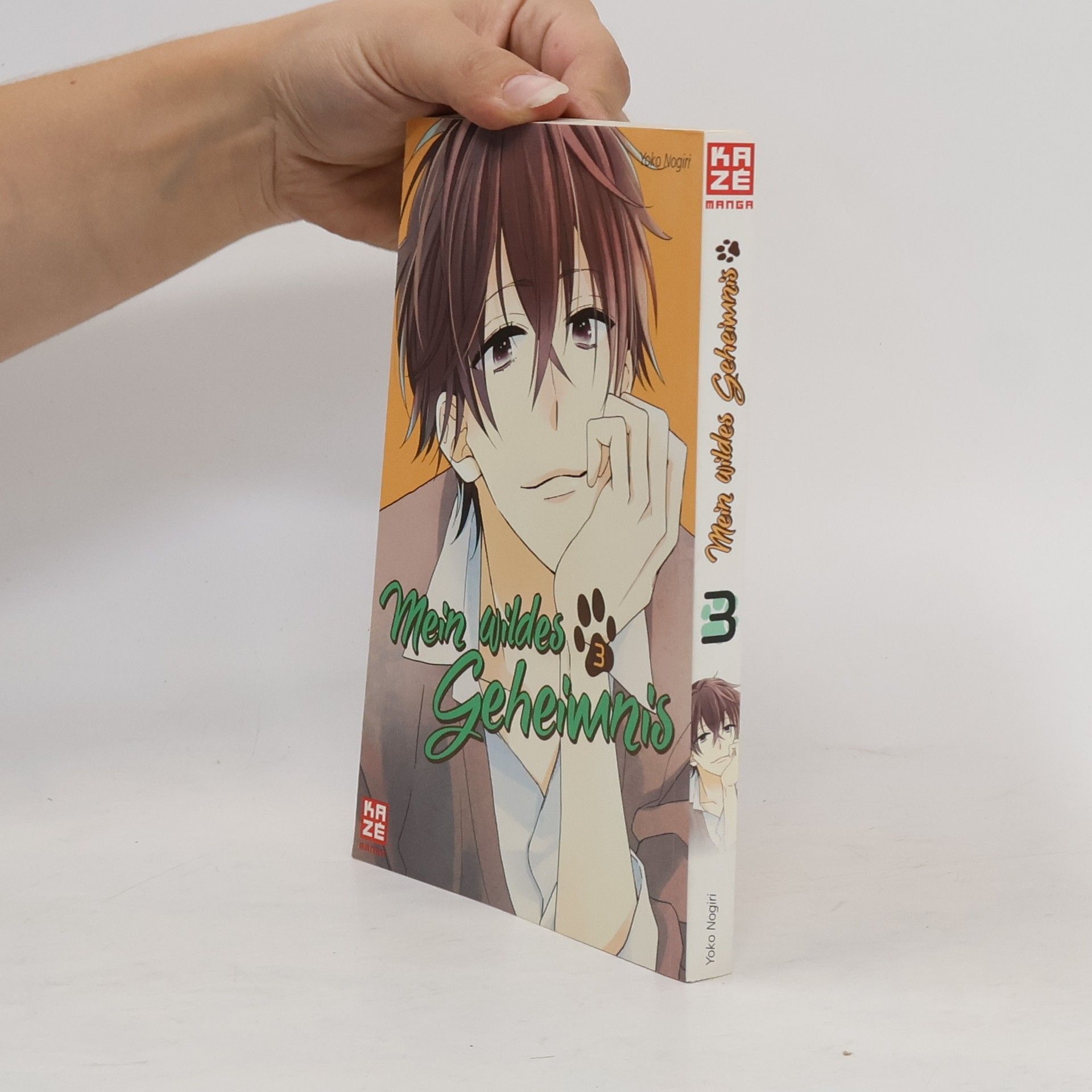 Yoko Nogiri Mein wildes Geheimnis 3