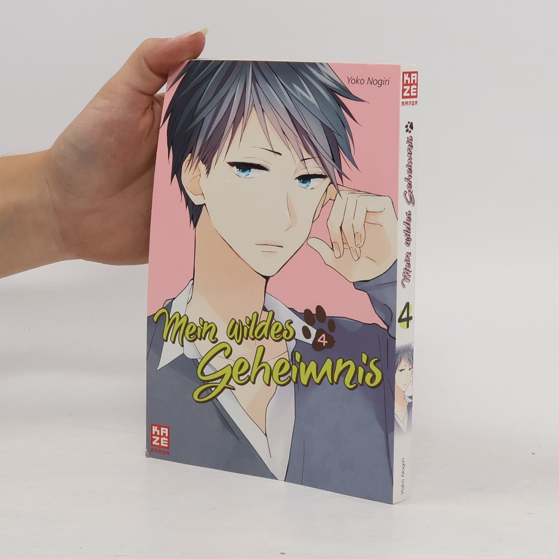 Yoko Nogiri Mein wildes Geheimnis 4