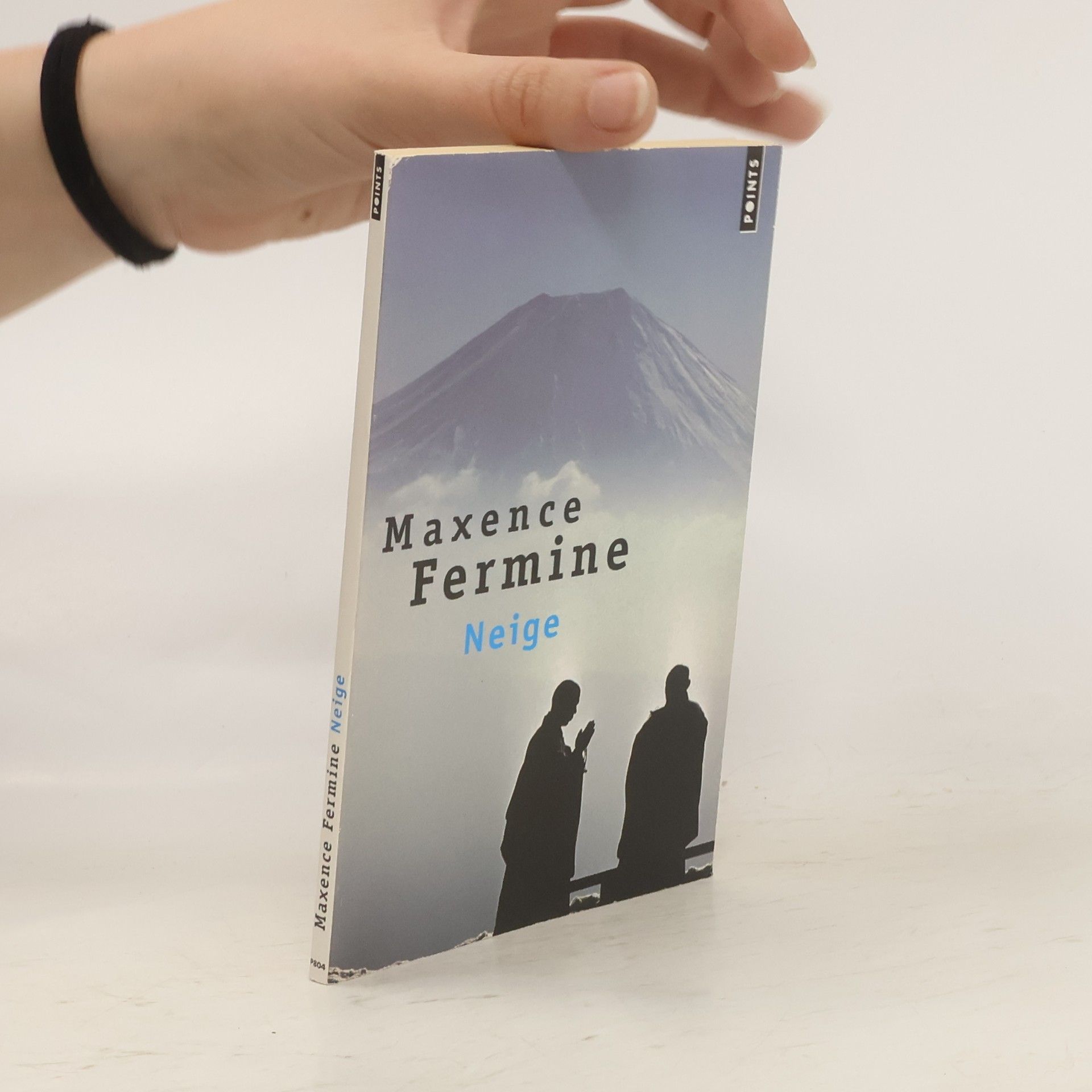 Maxence Fermine Neige