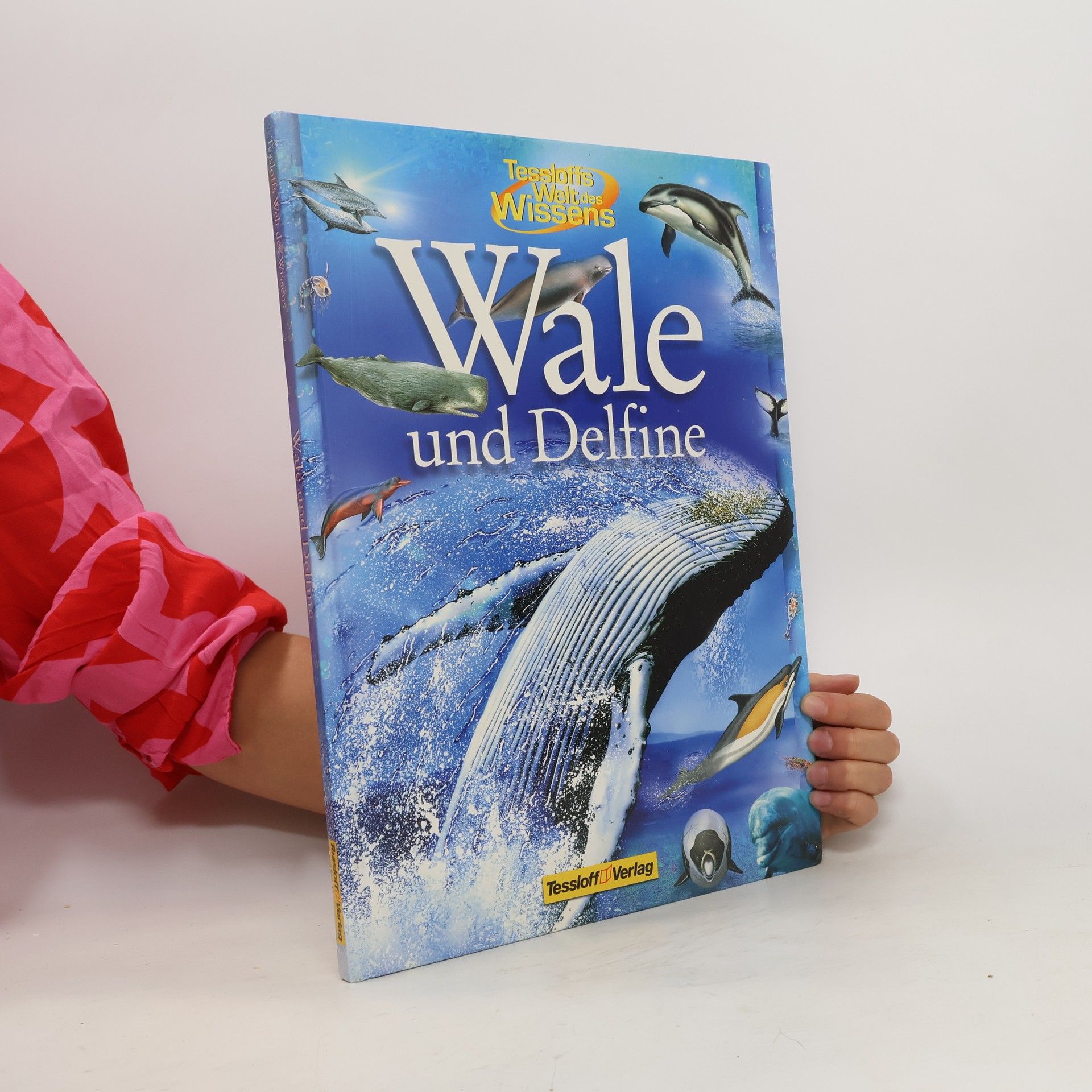 Bronwyn Sweeney Wale und Delfine