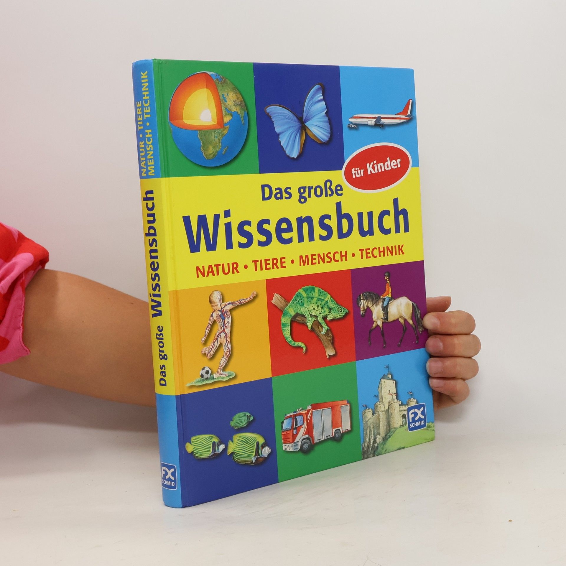 Patricia Mennen Das große Wissensbuch