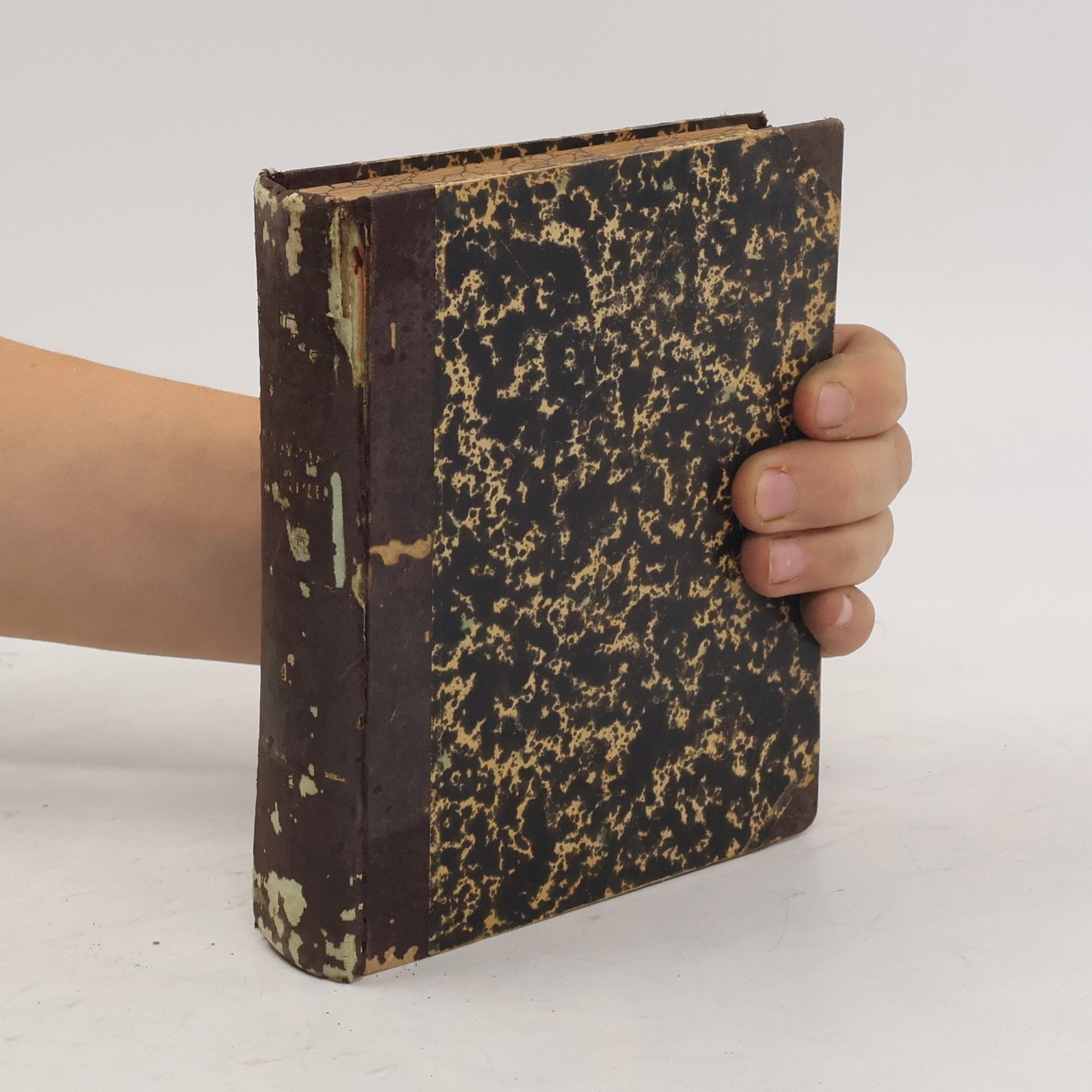 Charles Dickens Otec a syn