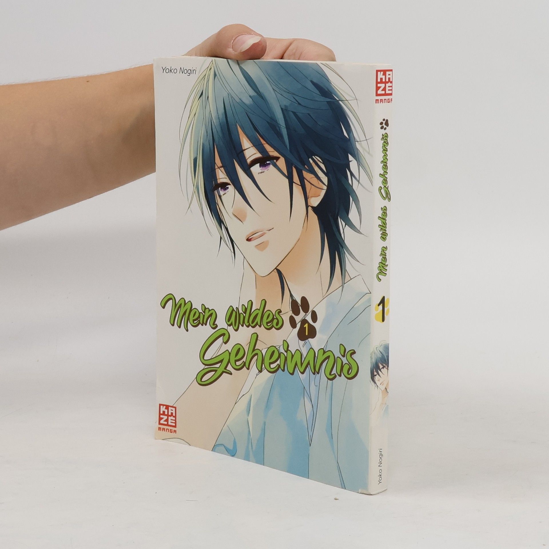 Yoko Nogiri Mein wildes Geheimnis 1