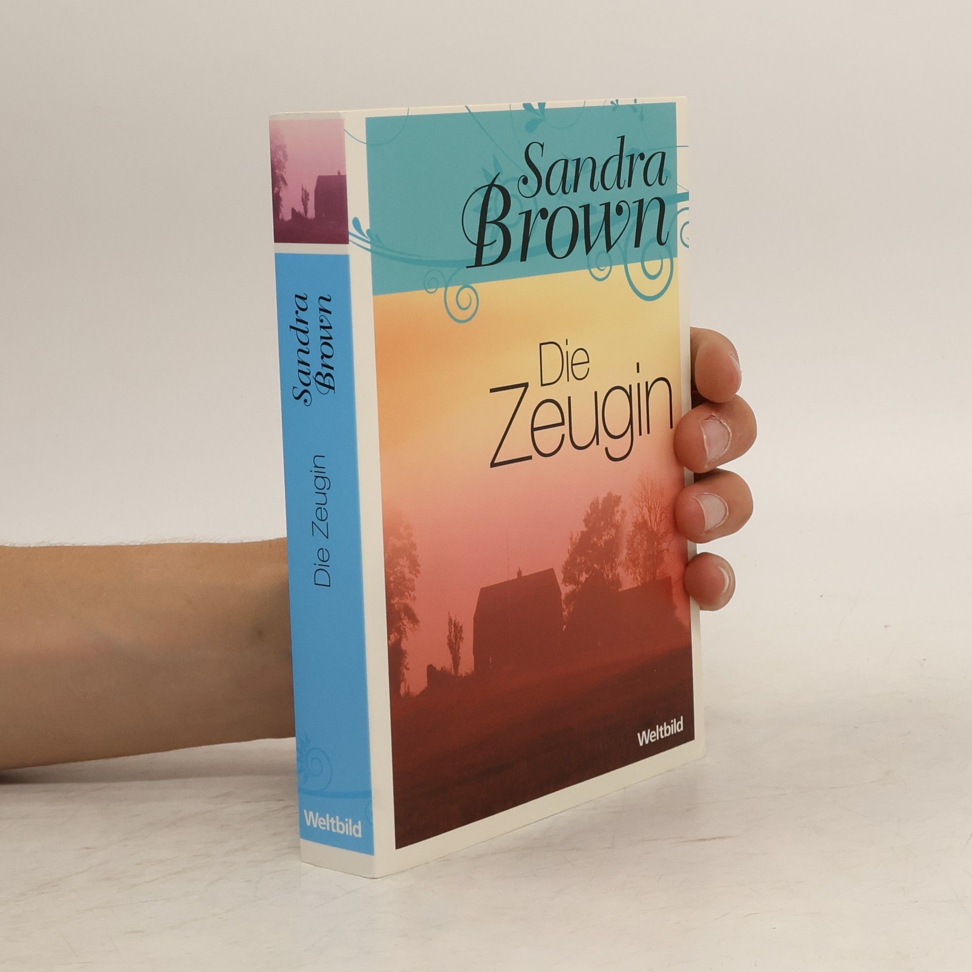 Sandra Brown Die Zeugin