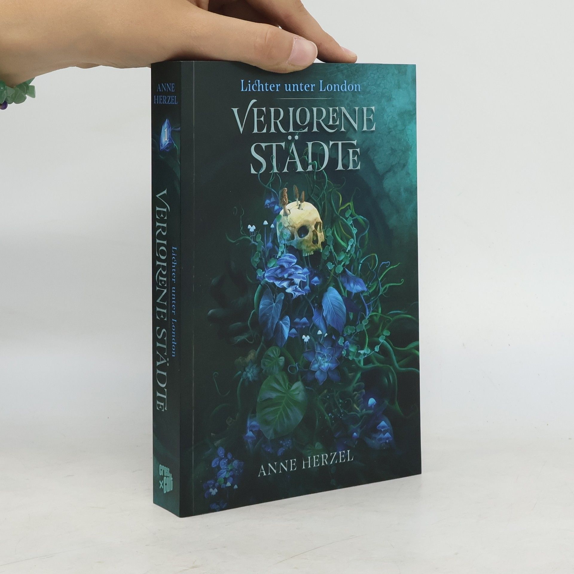 Anne Herzel Verlorene Städte