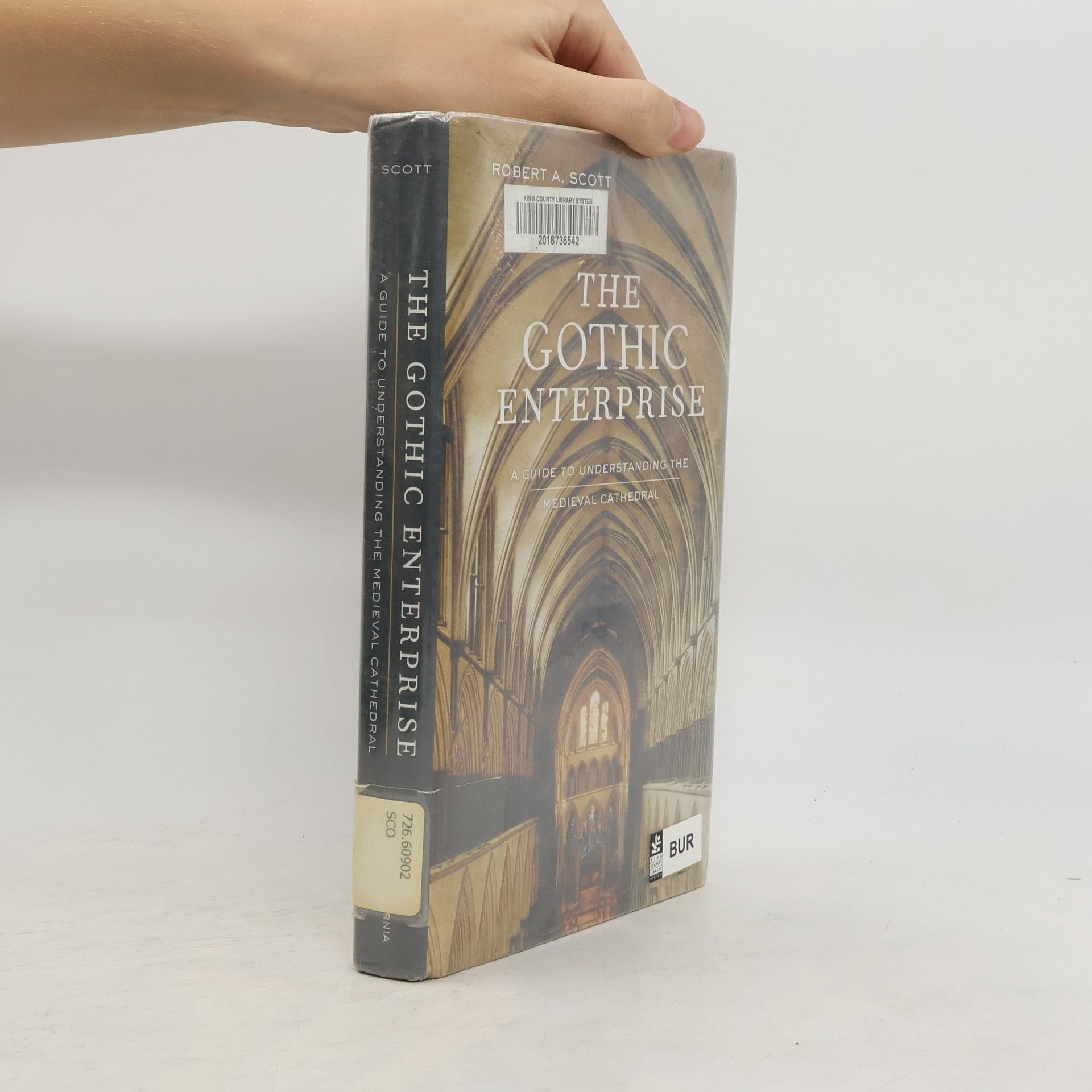 Robert A. Scott The Gothic Enterprise
