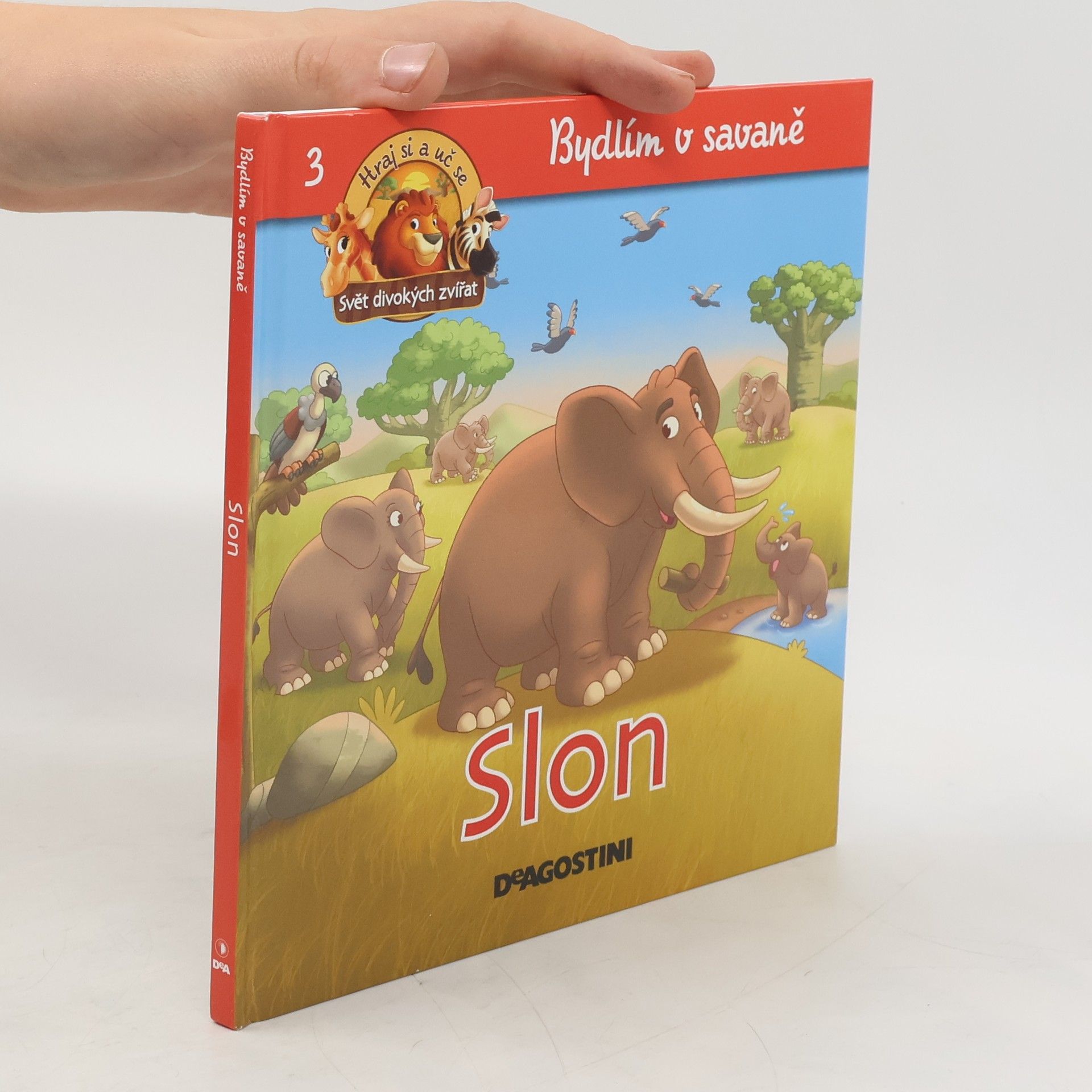 kolektiv Bydlím v savaně 3. Slon