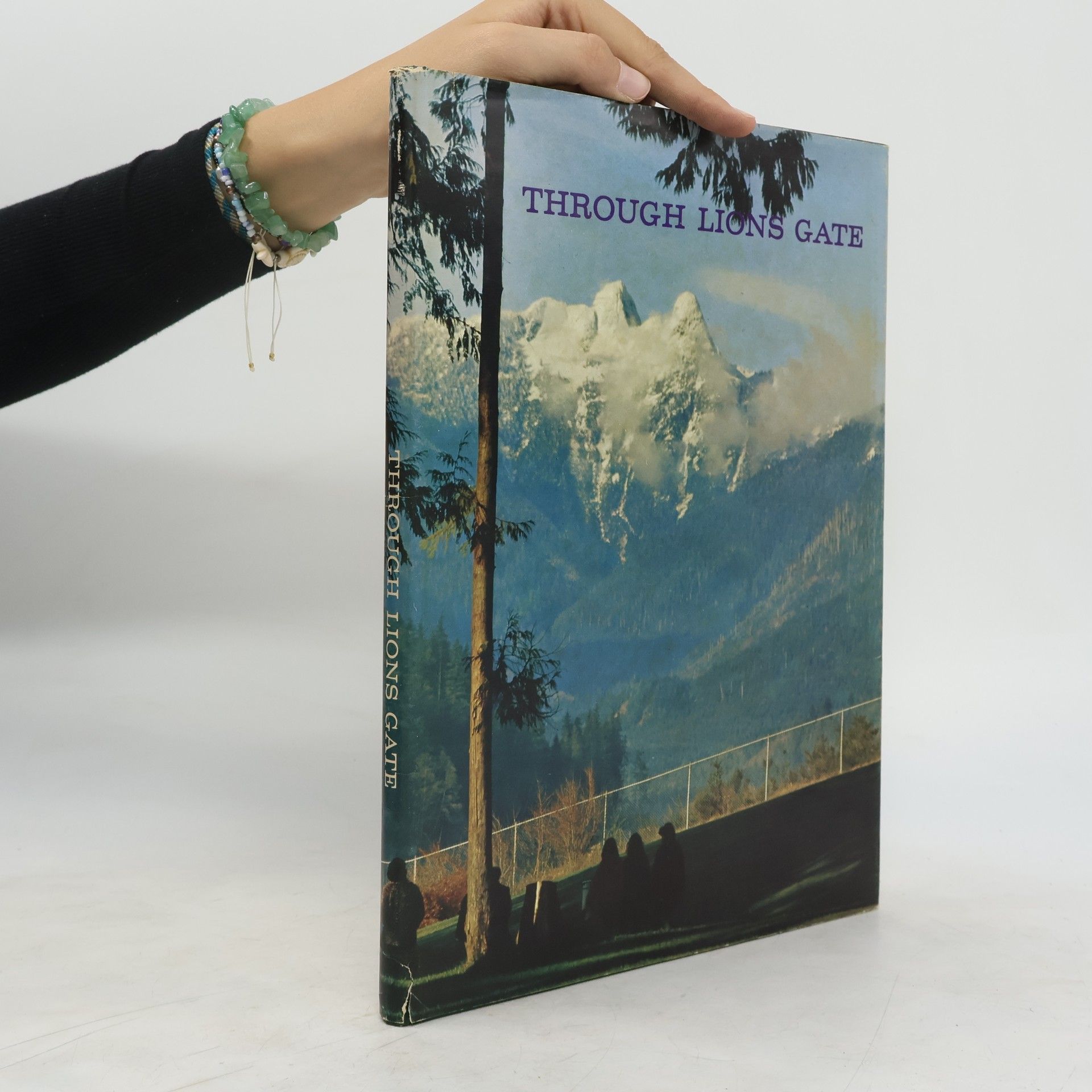Autores varios Through Lions Gate