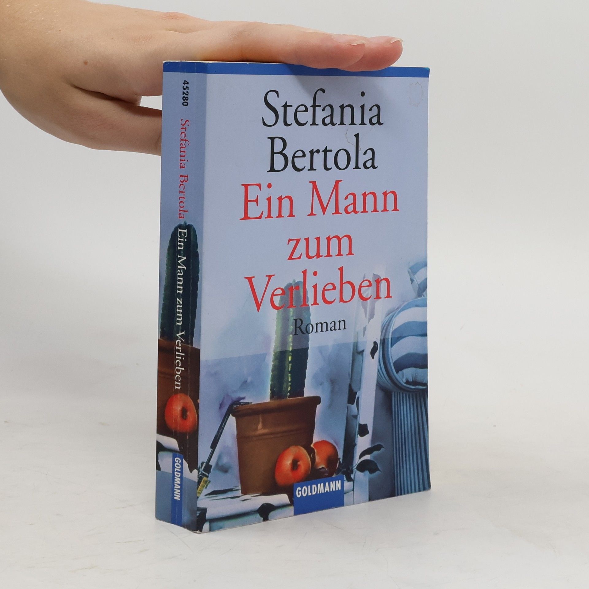 Stefania Bertola Ein Mann zum Verlieben