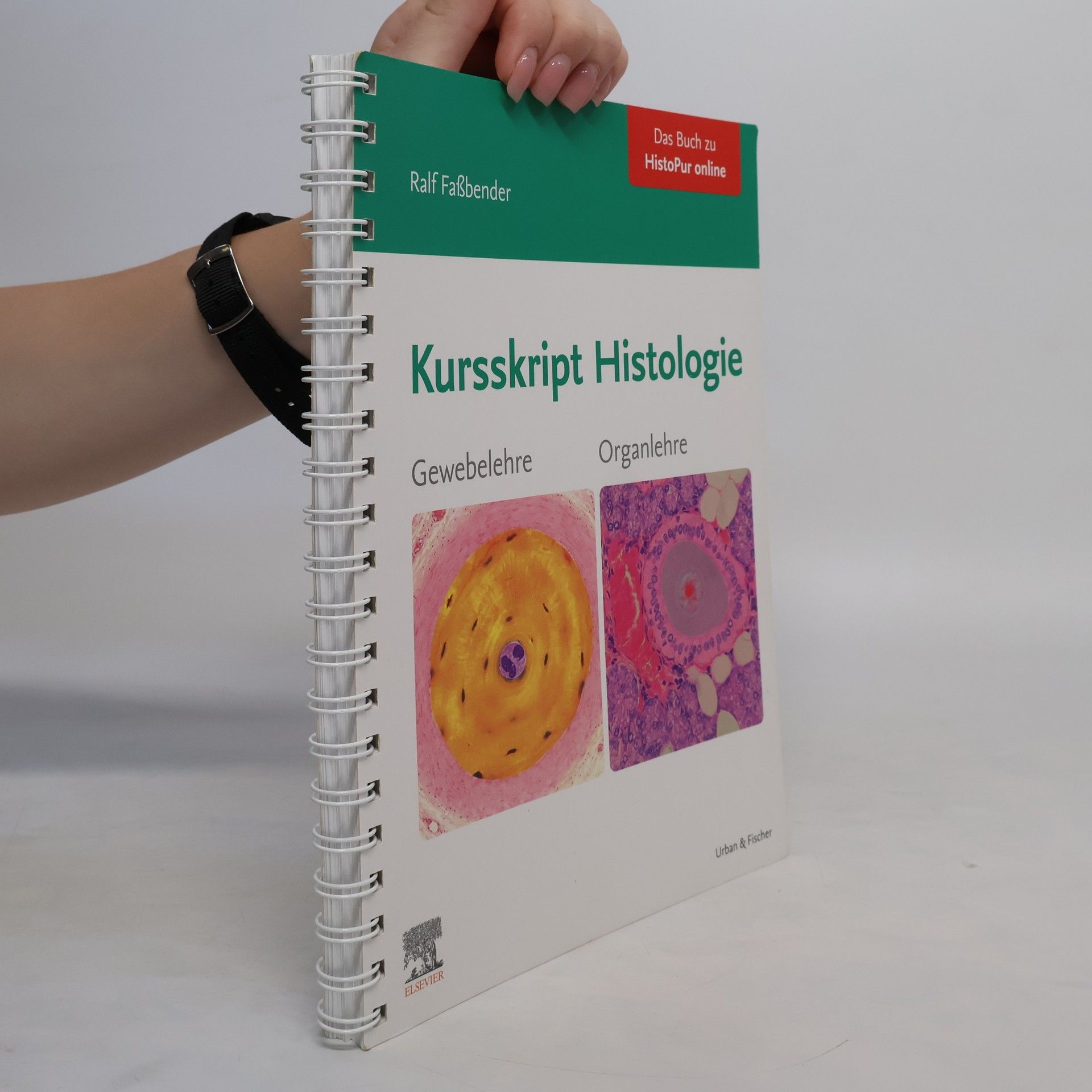 Ralf Faßbender Kursskript Histologie