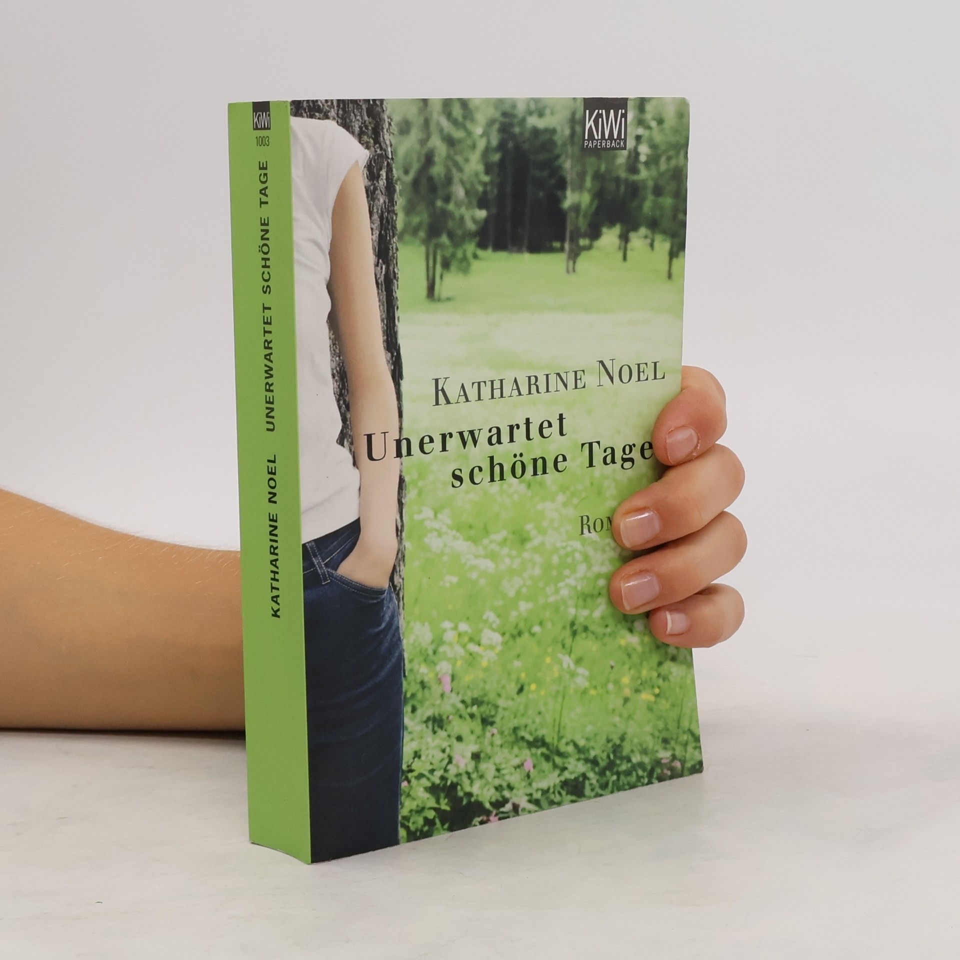 Katharine Noel Unerwartet schöne Tage