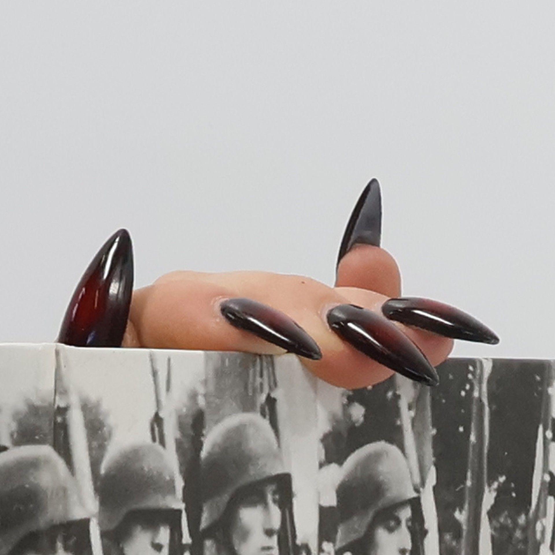 Wolfgang Schneider-Fresenius Die Waffen-SS