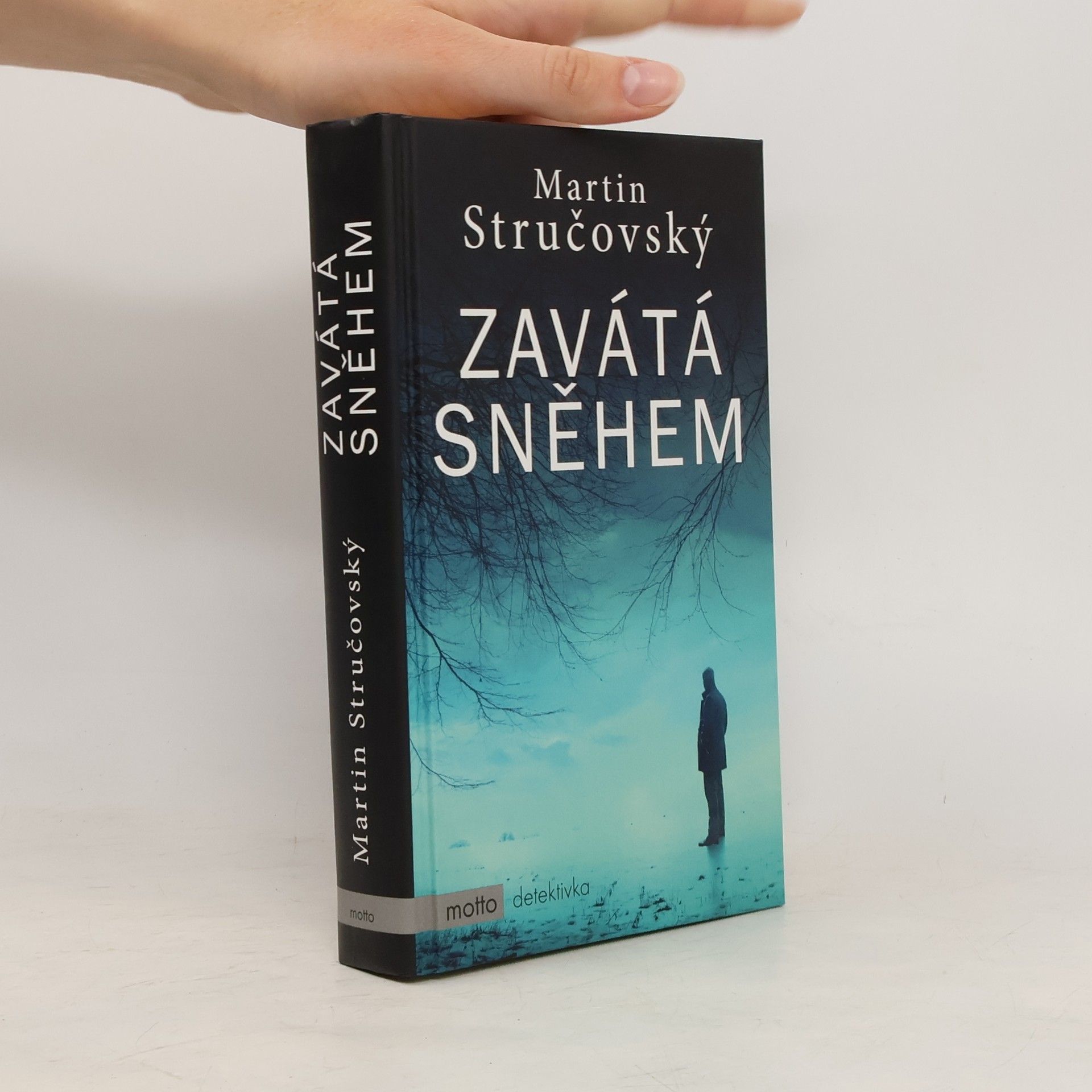 Martin Stručovský Zavátá sněhem