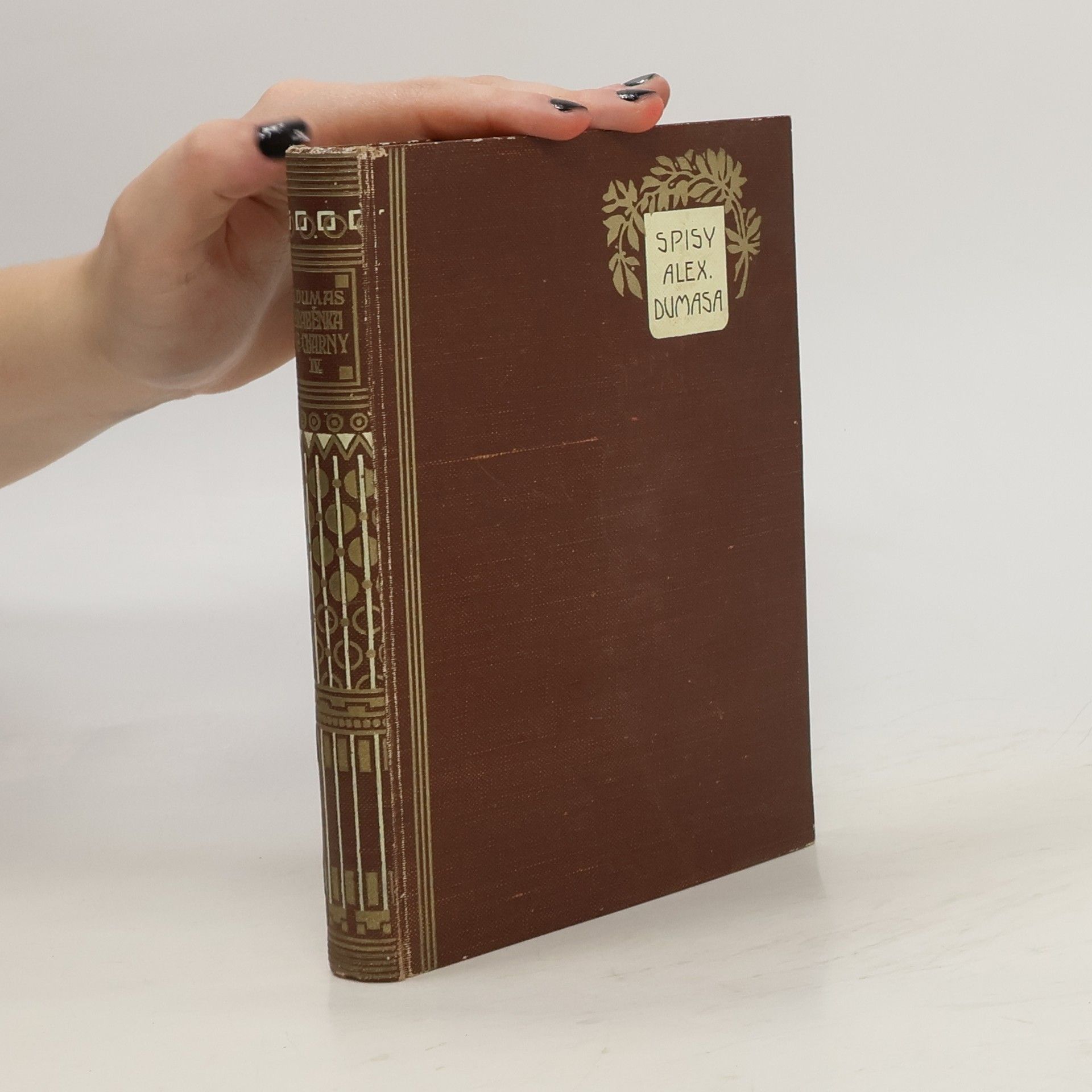 Alexandre Dumas der Ältere Hraběnka de Charny. Díl IV.