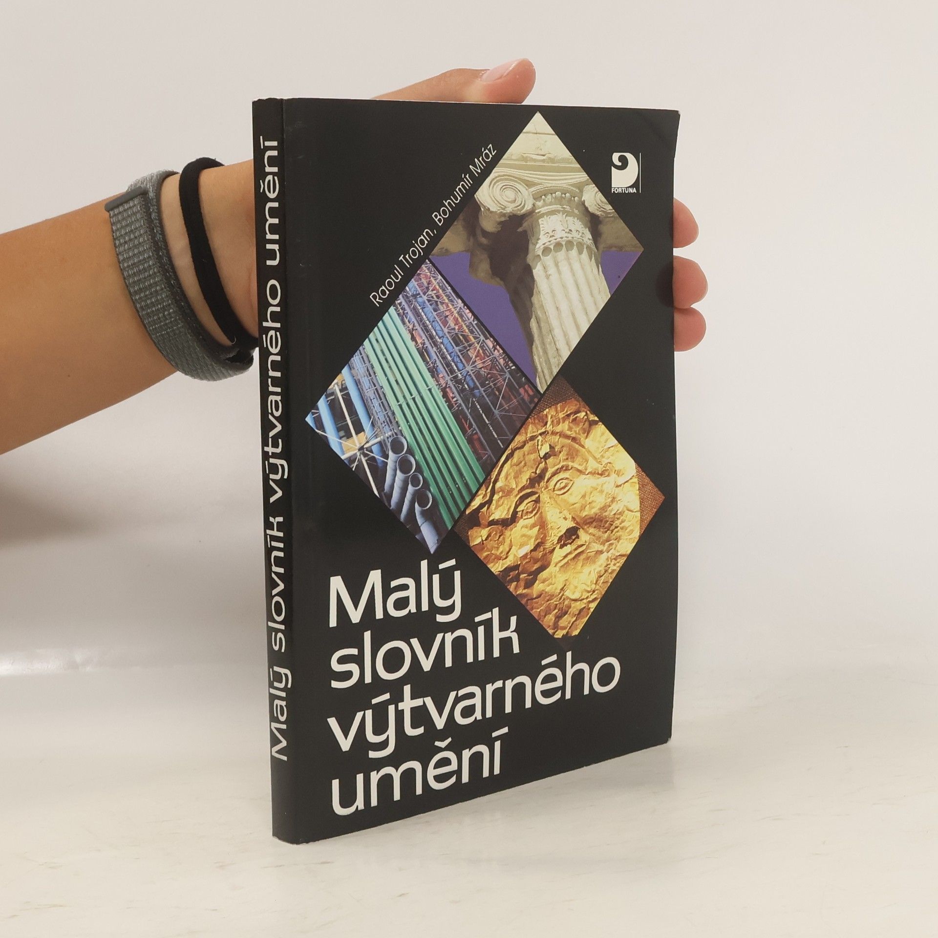 Raul Trojan Malý slovník výtvarného umění