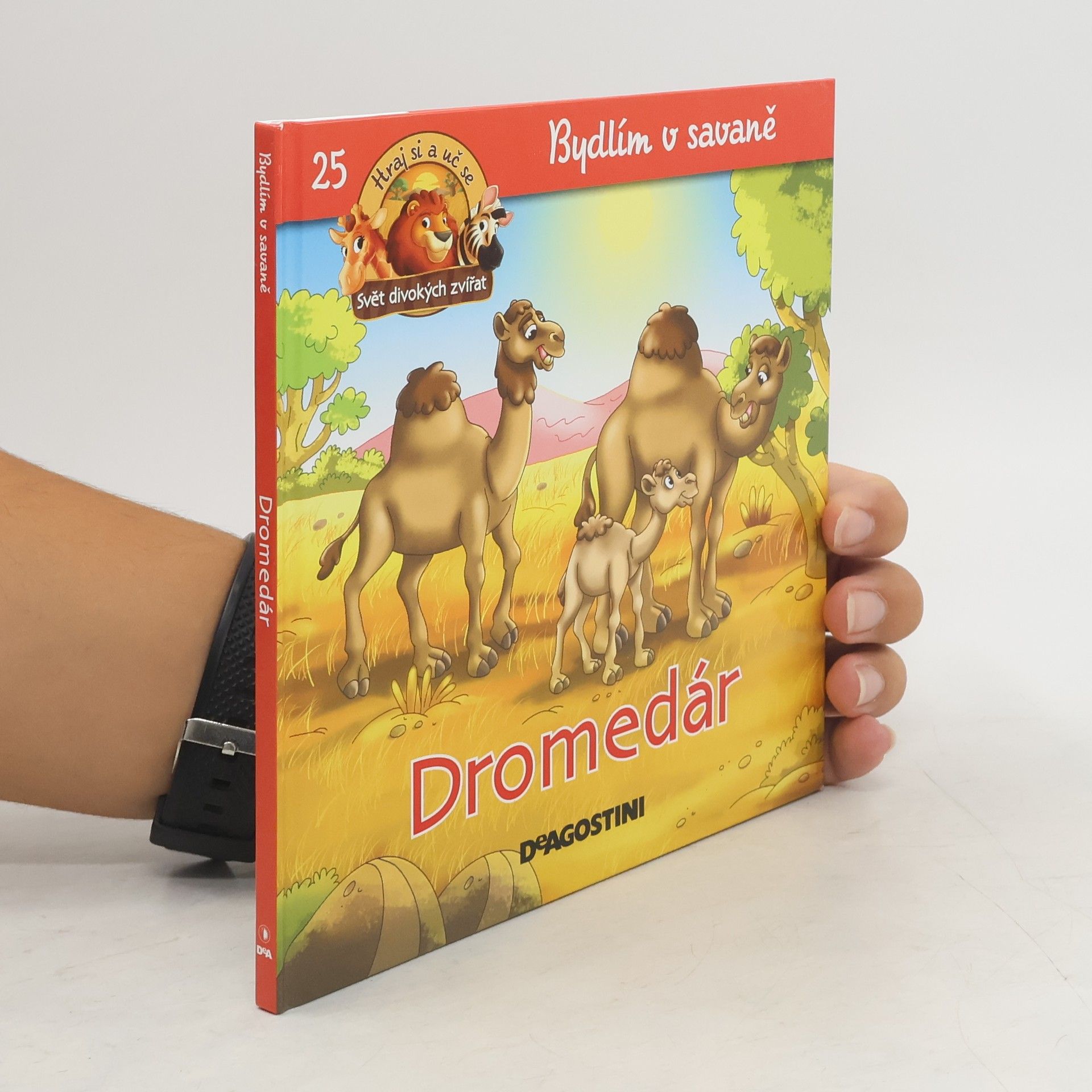 kolektiv Bydlím v savaně 25. Dromedár