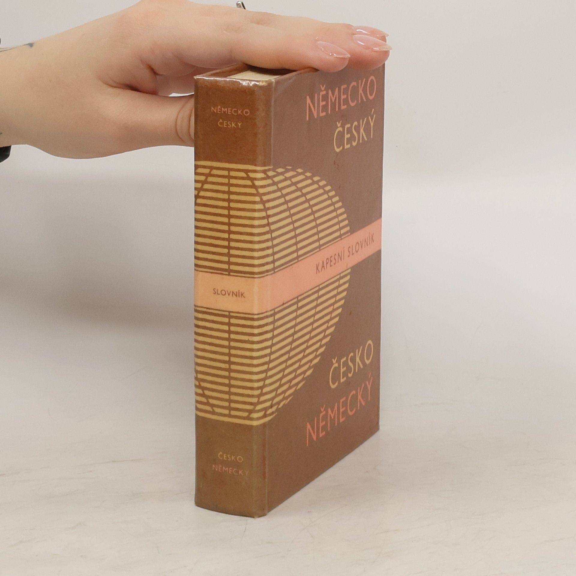 Autorenkollektiv Německo-český a česko-německý kapesní slovník