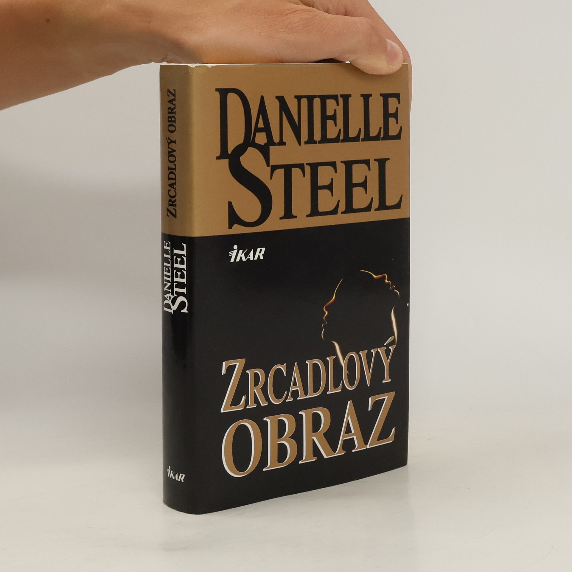 Danielle Steel Zrcadlový obraz