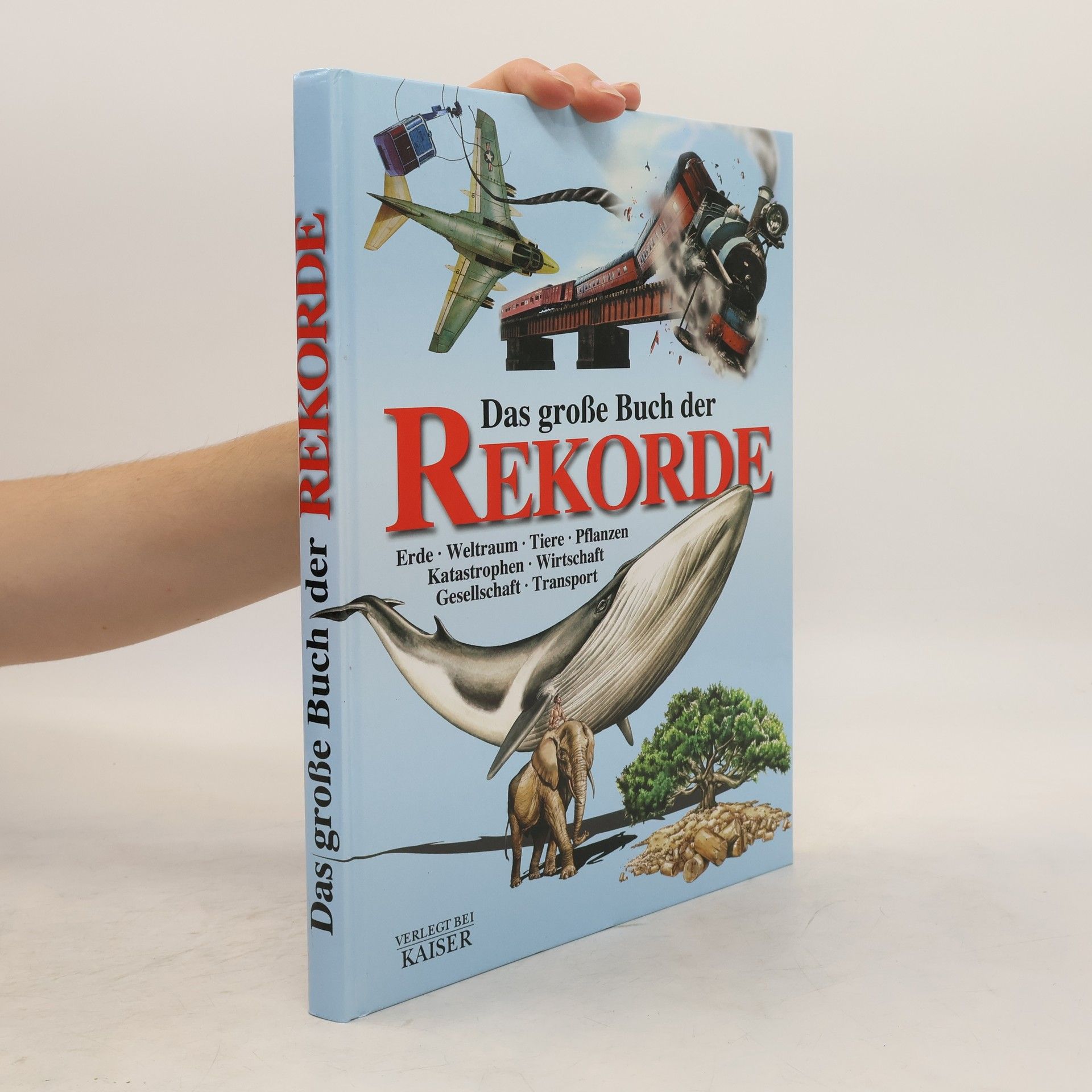 Davide Bonadonna Das große Buch der Rekorde