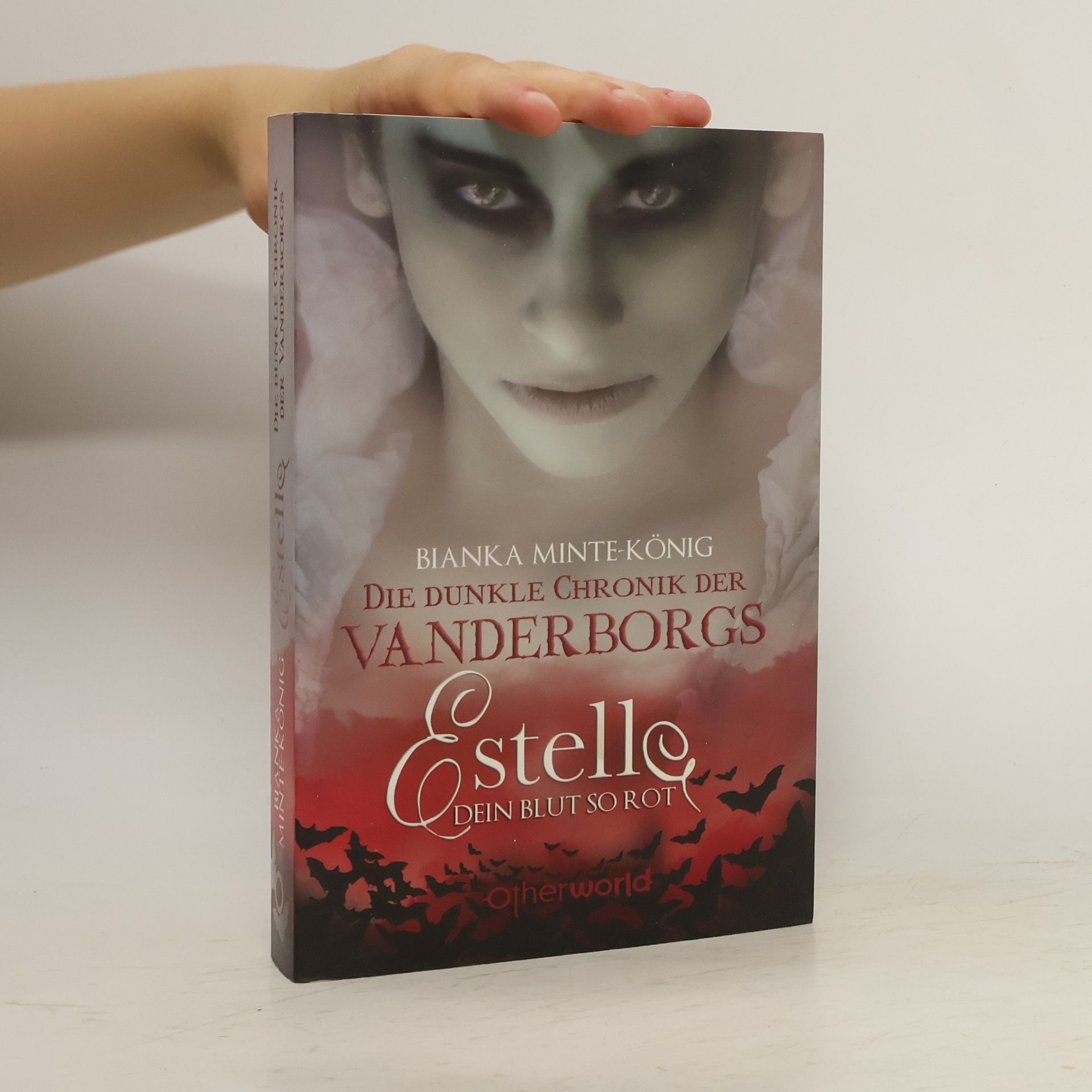 Bianka Minte-König Die dunkle Chronik der Vanderborgs