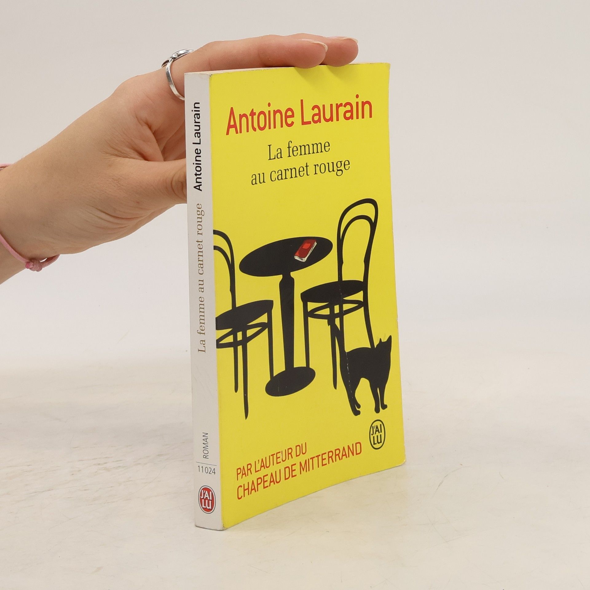 Antoine Laurain La femme au carnet rouge