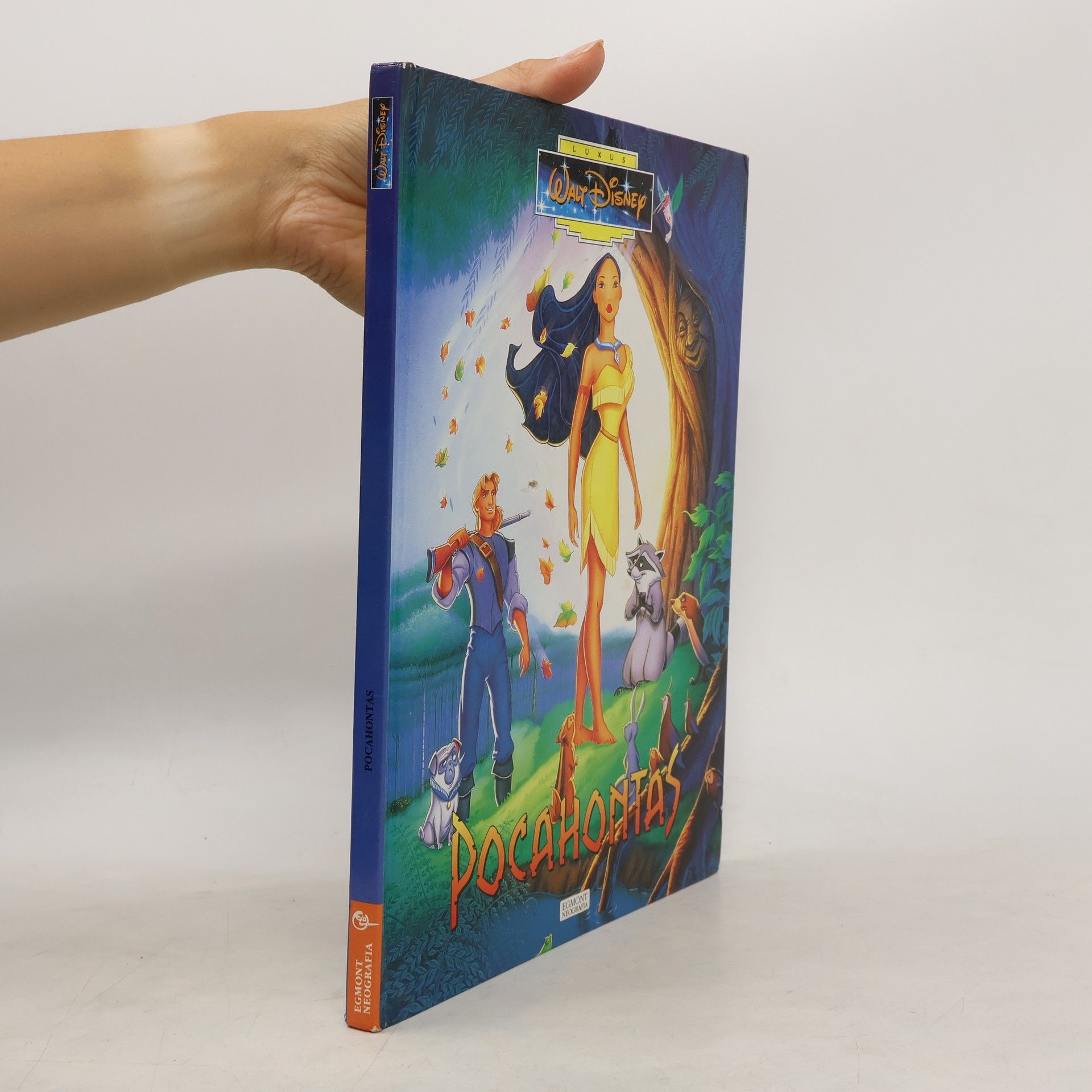 Walt Disney Pocahontas