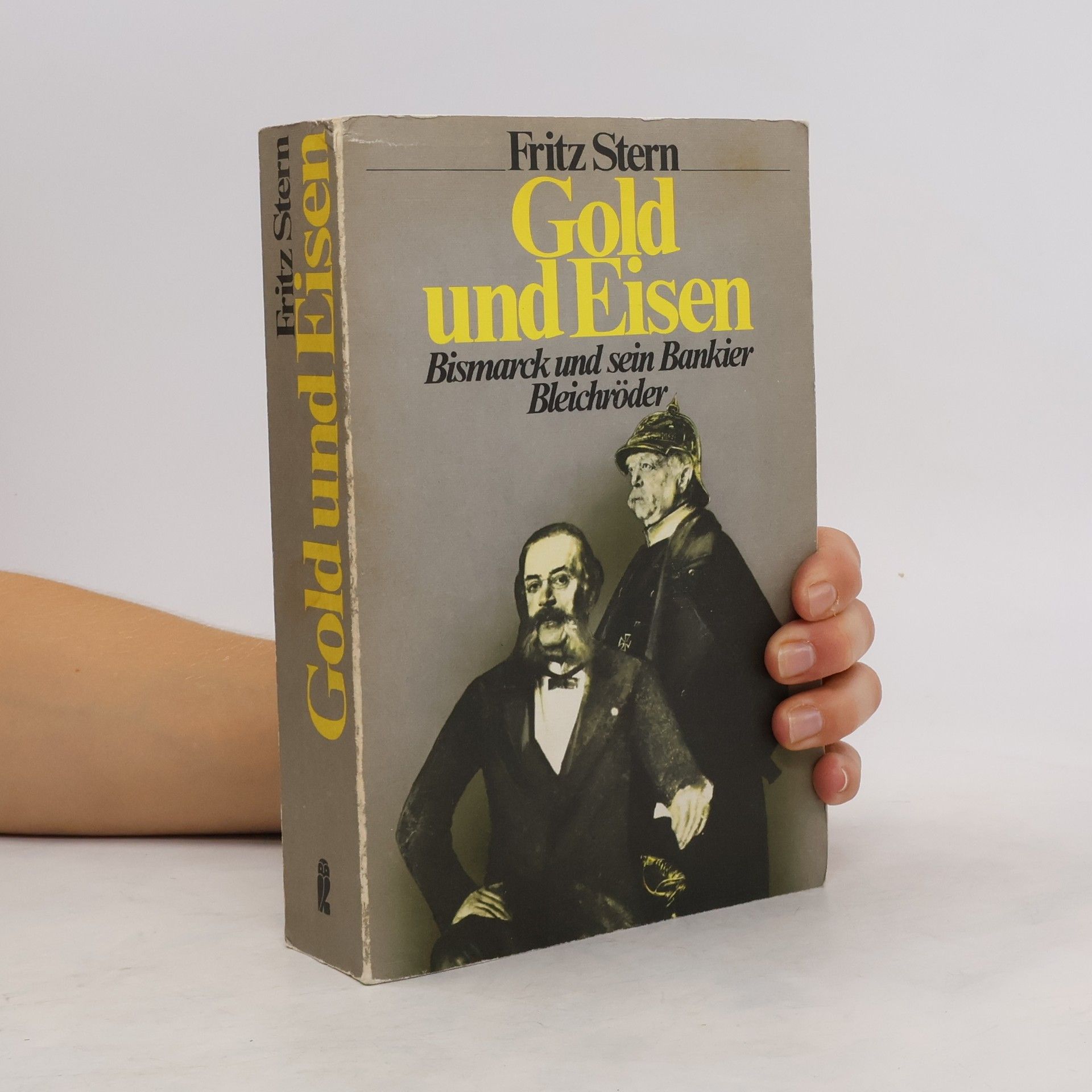 Fritz Stern Gold und Eisen