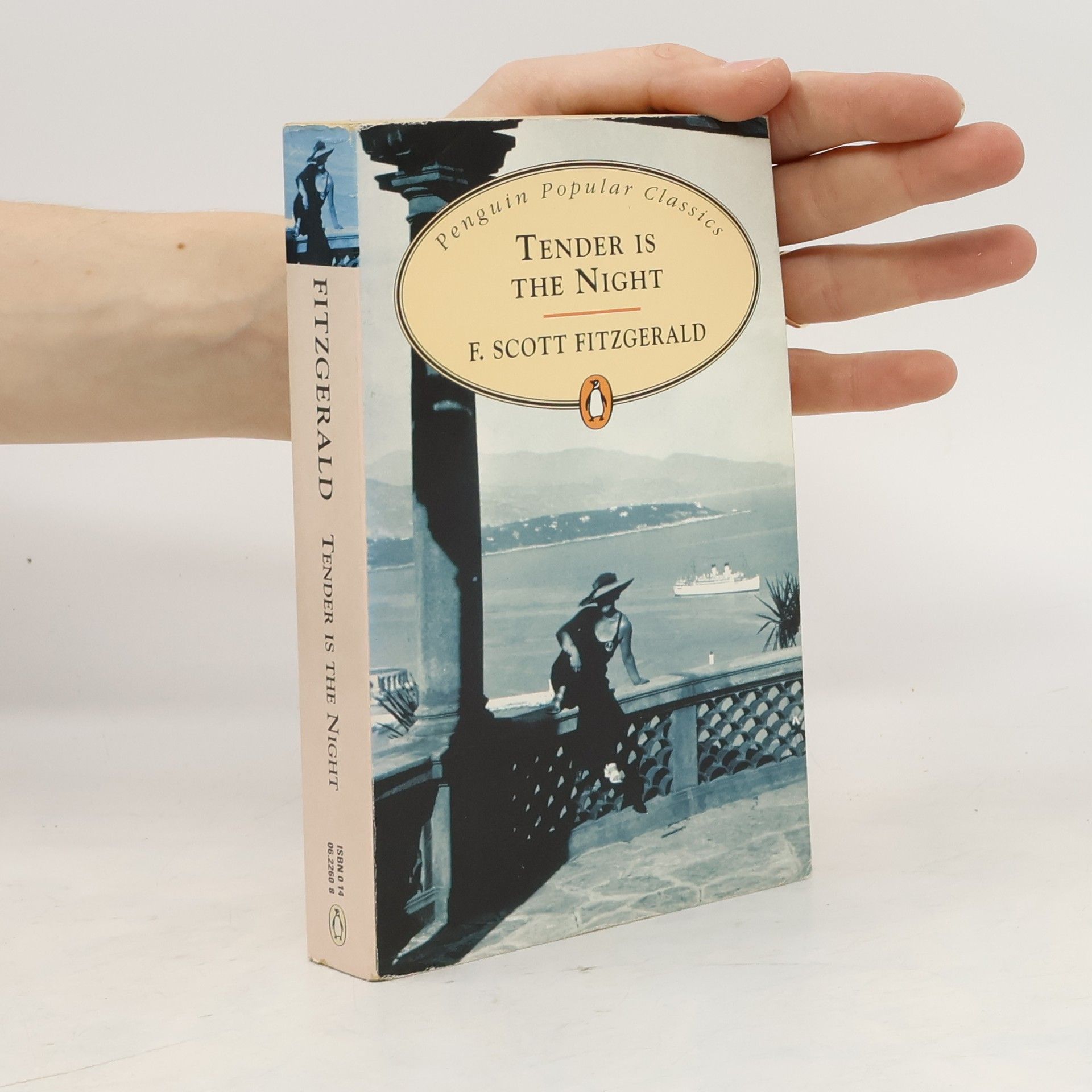F. Scott Fitzgerald Tender is the Night