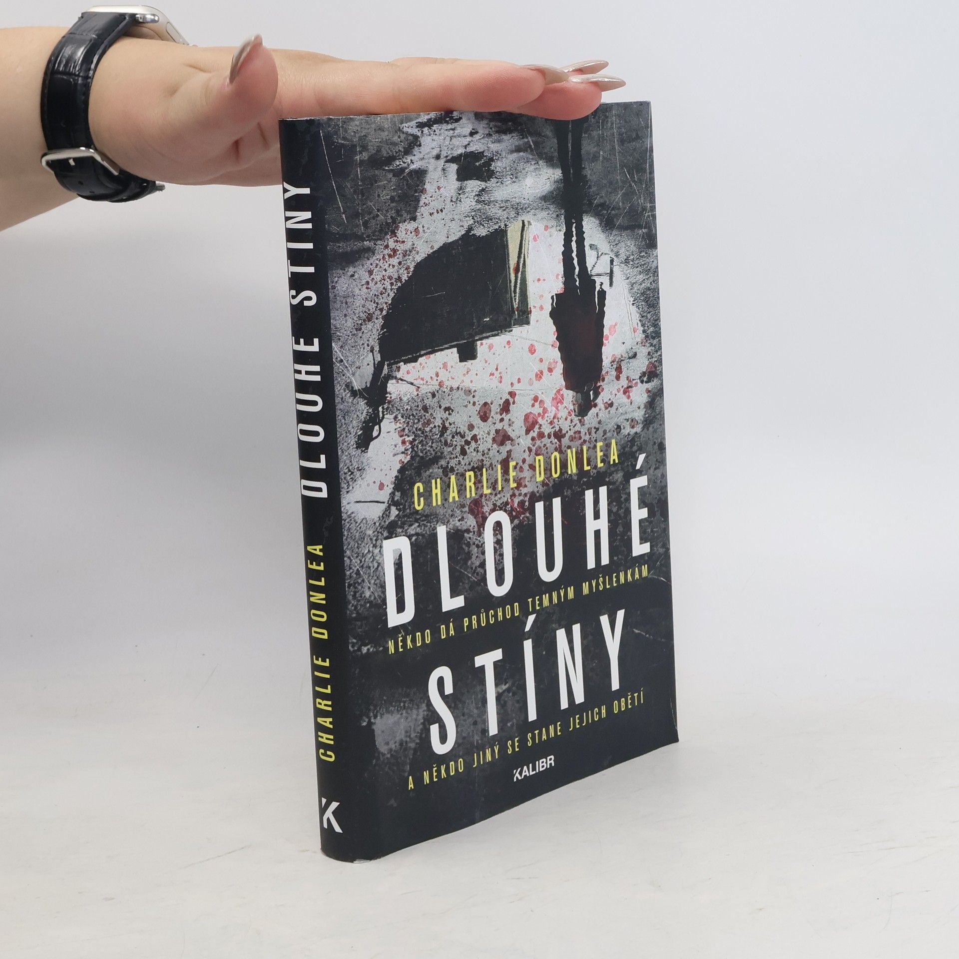 Charlie Donlea Dlouhé stíny