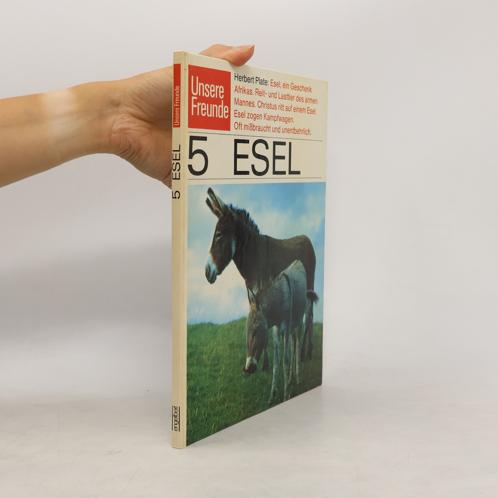 Herbert Plate 5 Esel