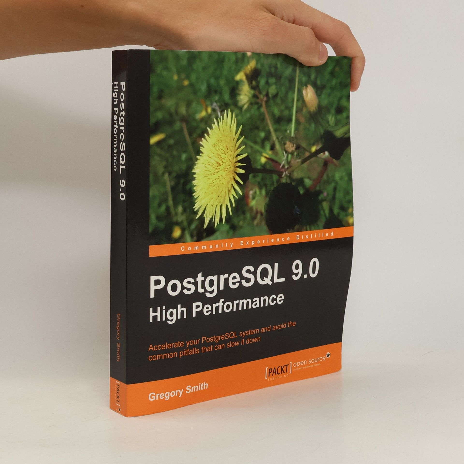 Gregory Smith PostgreSQL 9.0 High Performance
