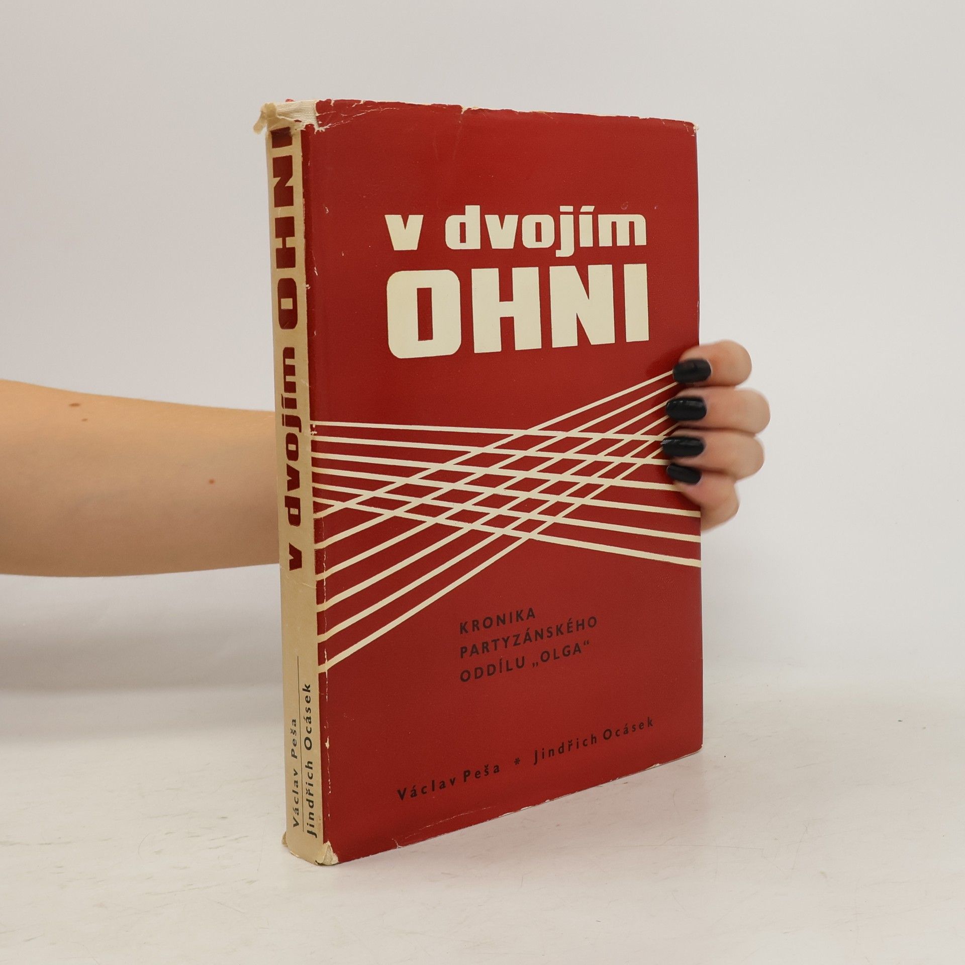 Václav Peša V dvojím ohni: kronika partyzánského oddílu Olga