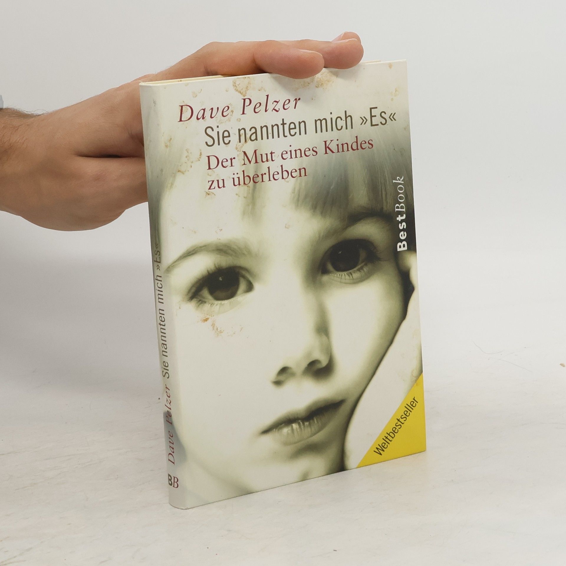 David J. Pelzer Sue nannten mich Es