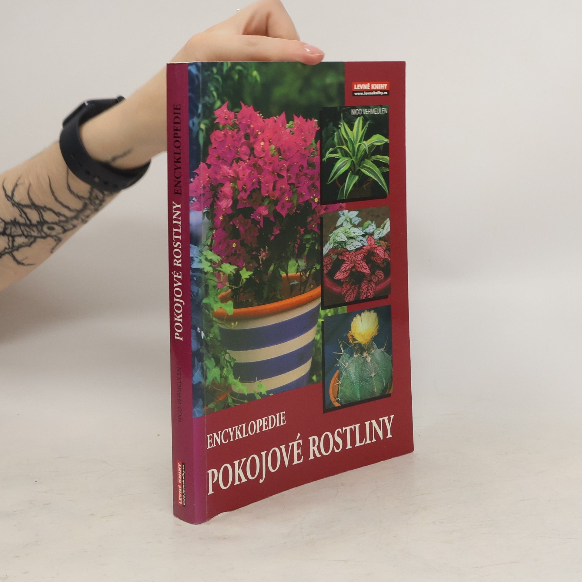 Pokojové rostliny: Encyklopedie