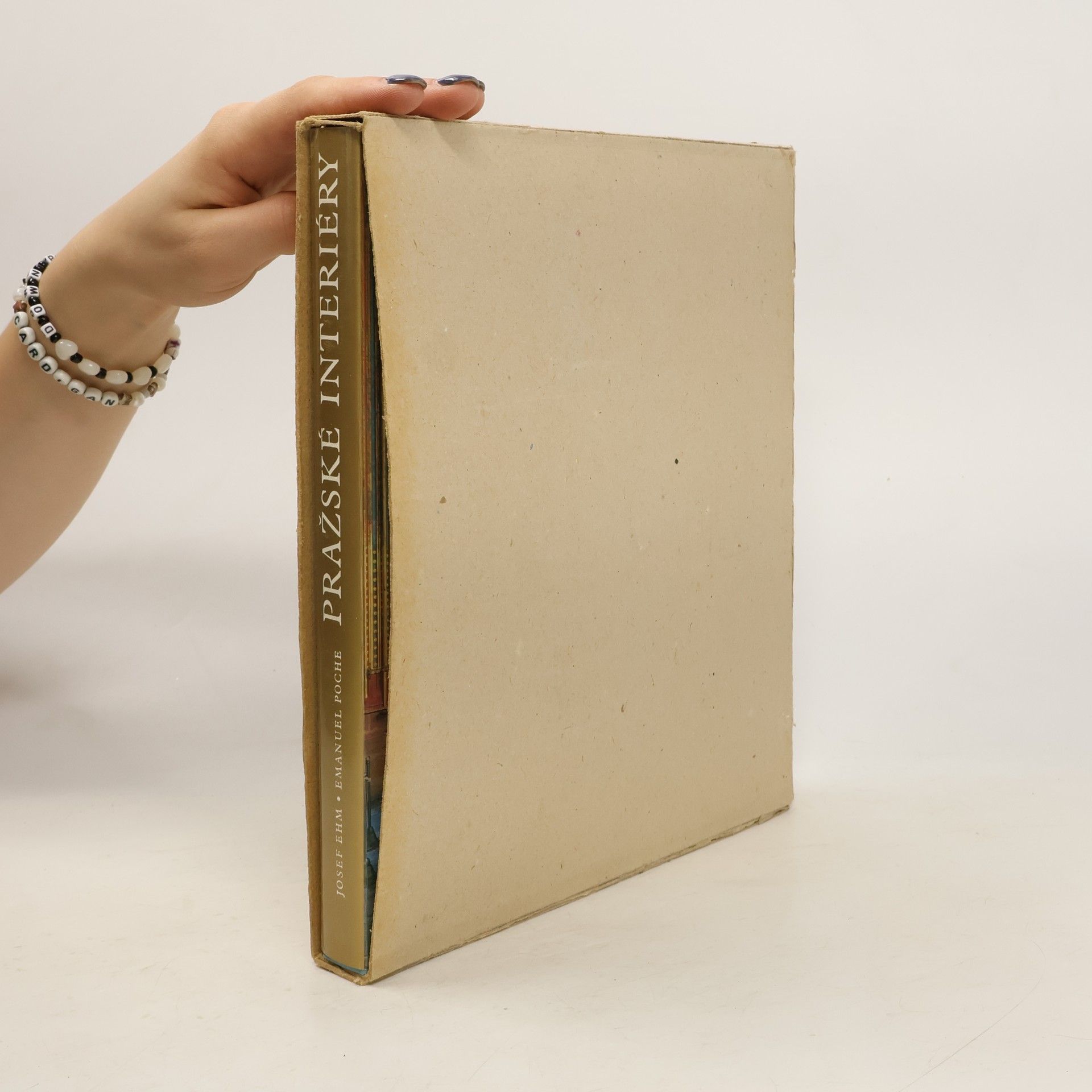 Josef Ehm Pražské interiéry