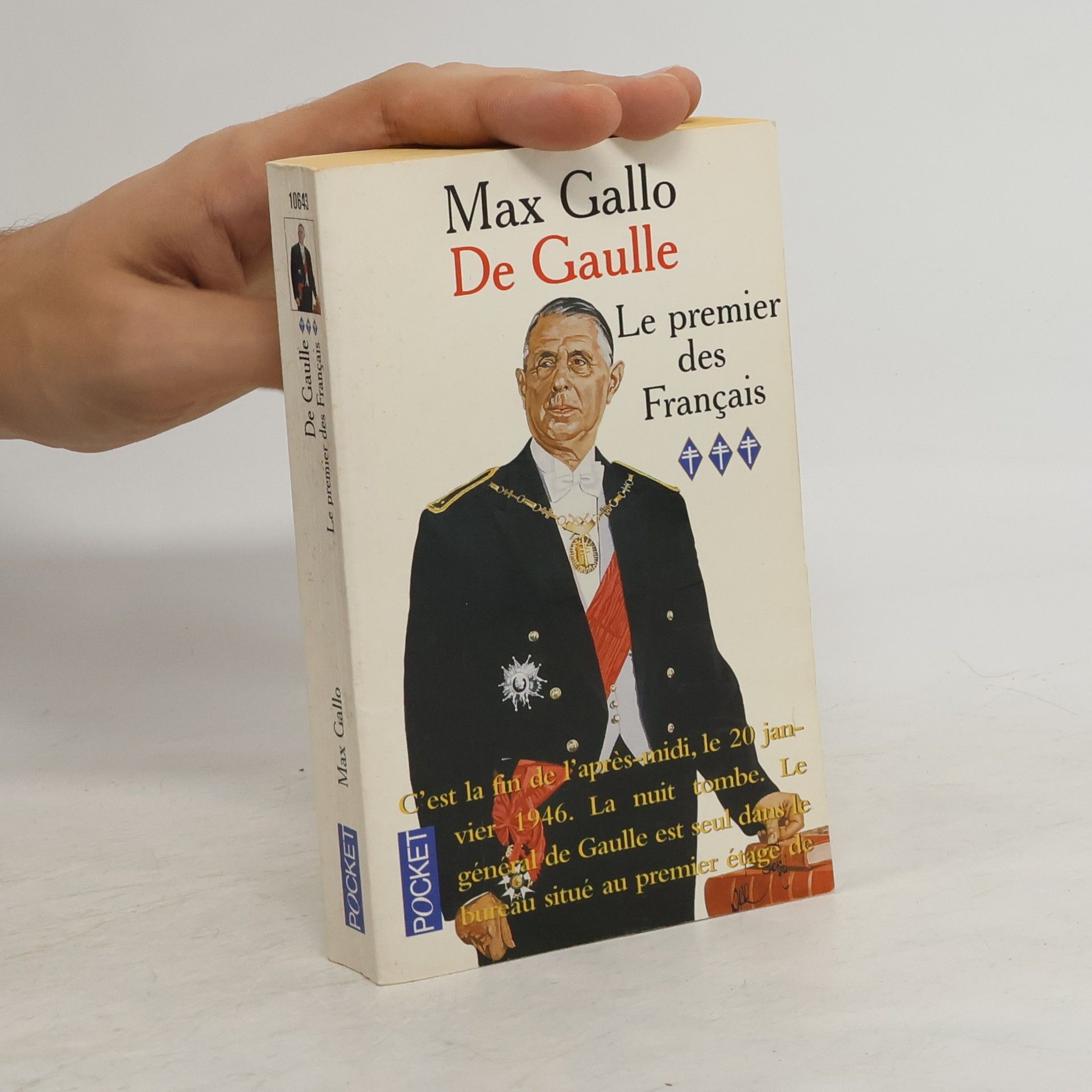 Max Gallo De Gaulle: La statue du Commandeur (1962-1970)