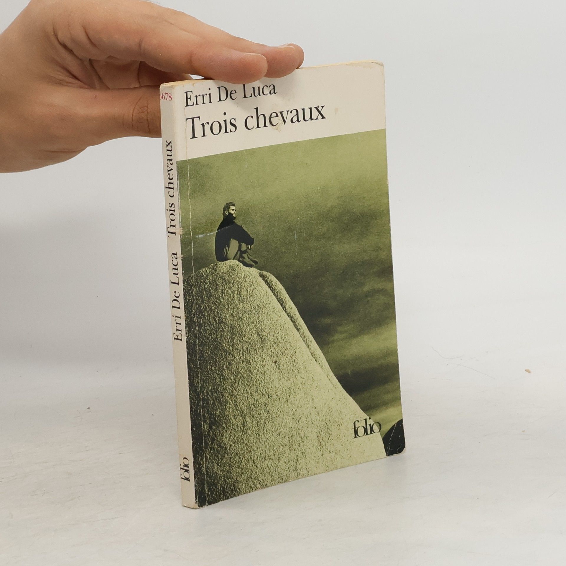 Danièle Valin Trois chevaux