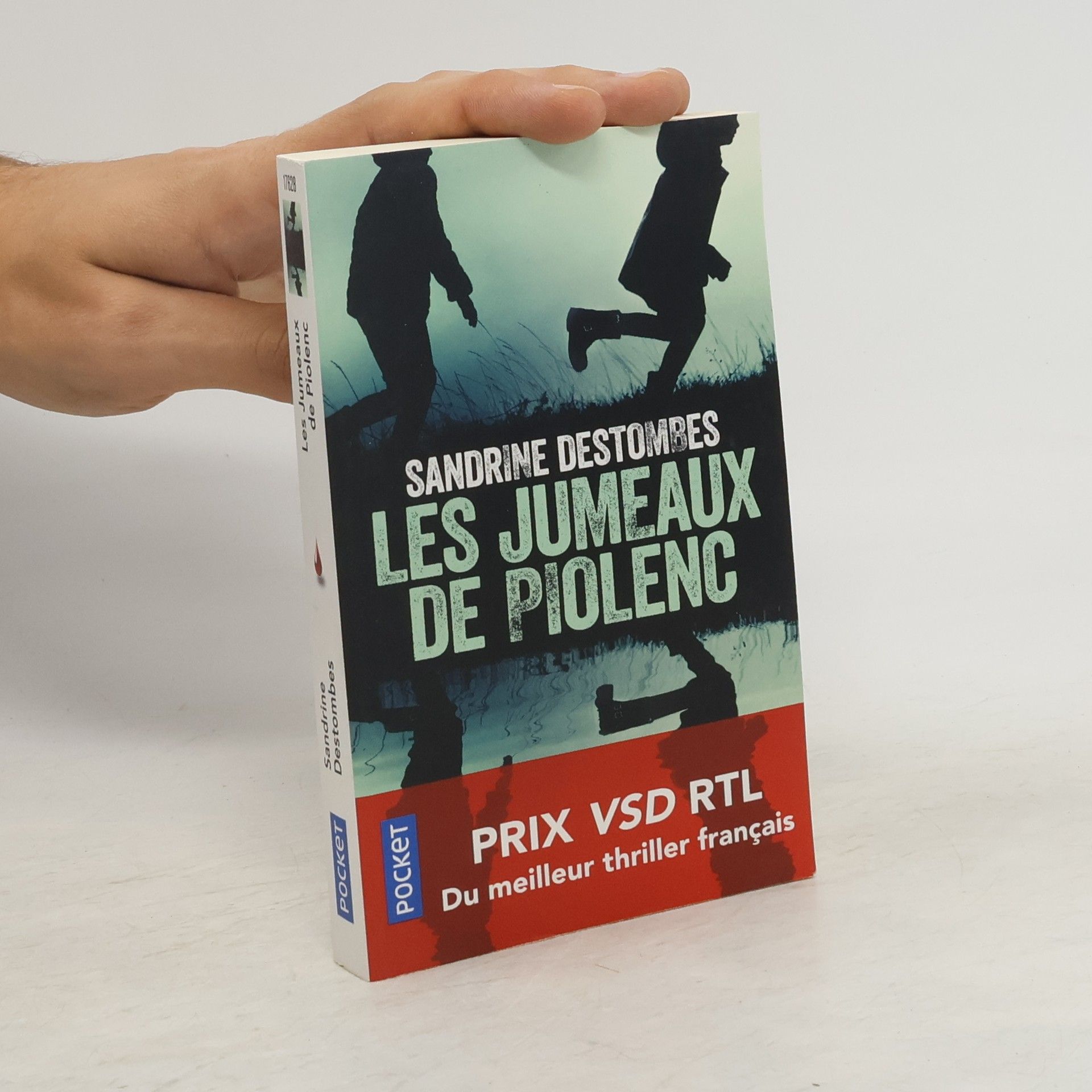 Sandrine Destombes Les Jumeaux de Piolenc