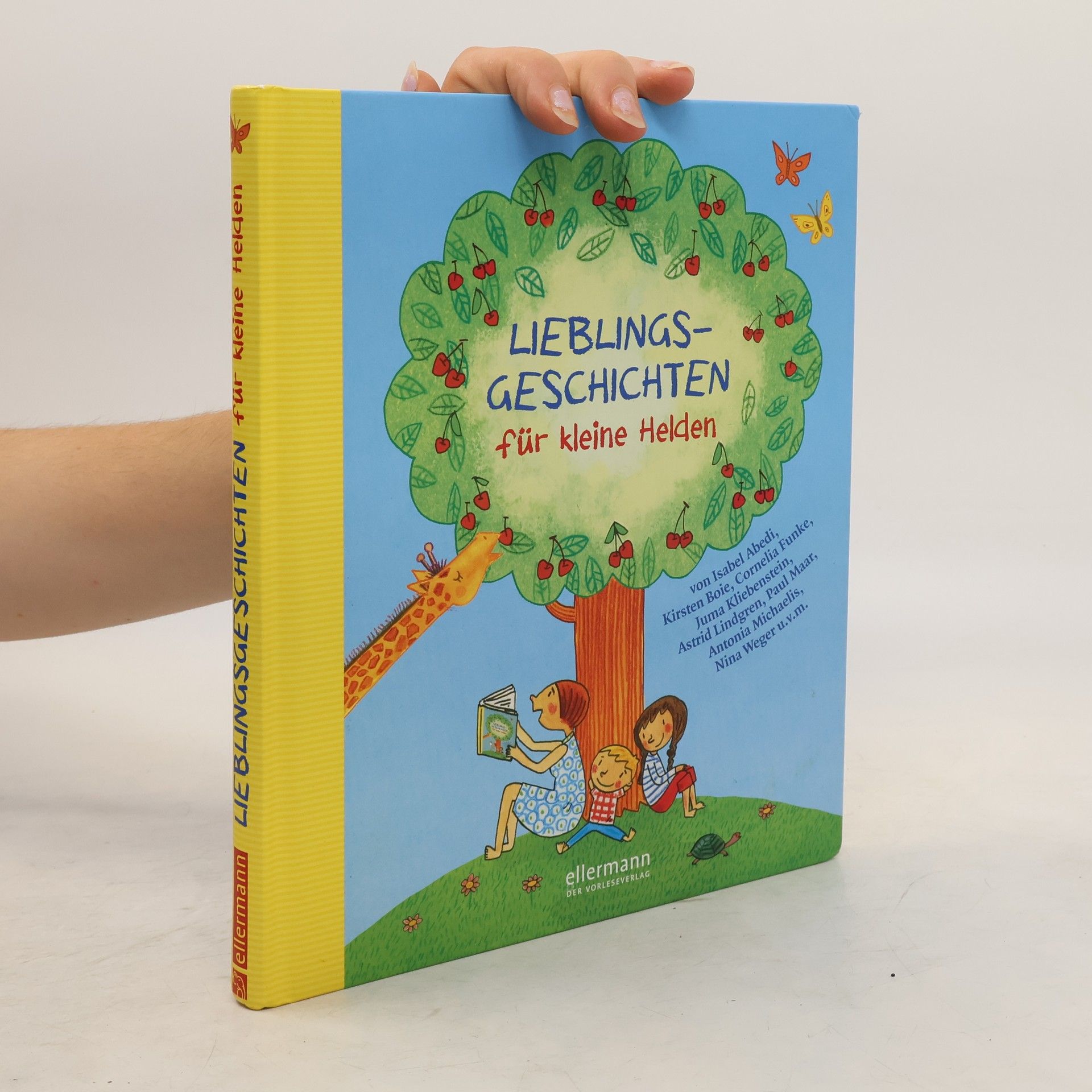 Petra Steckelmann Lieblingsgeschichten für kleine Helden