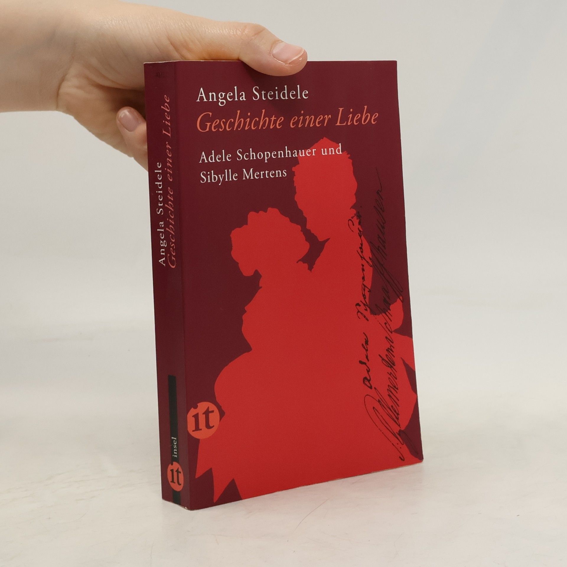 Angela Steidele Geschichte einer Liebe: Adele Schopenhauer und Sibylle Mertens
