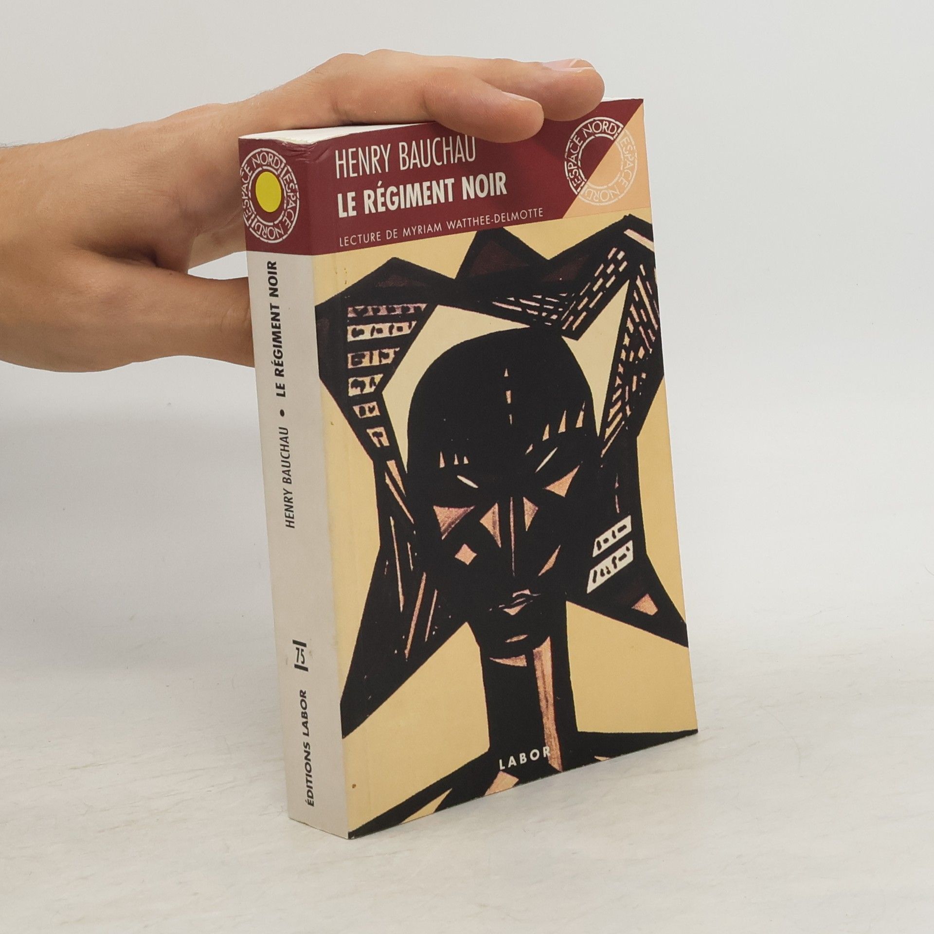 Henry Bauchau Le Régiment Noir