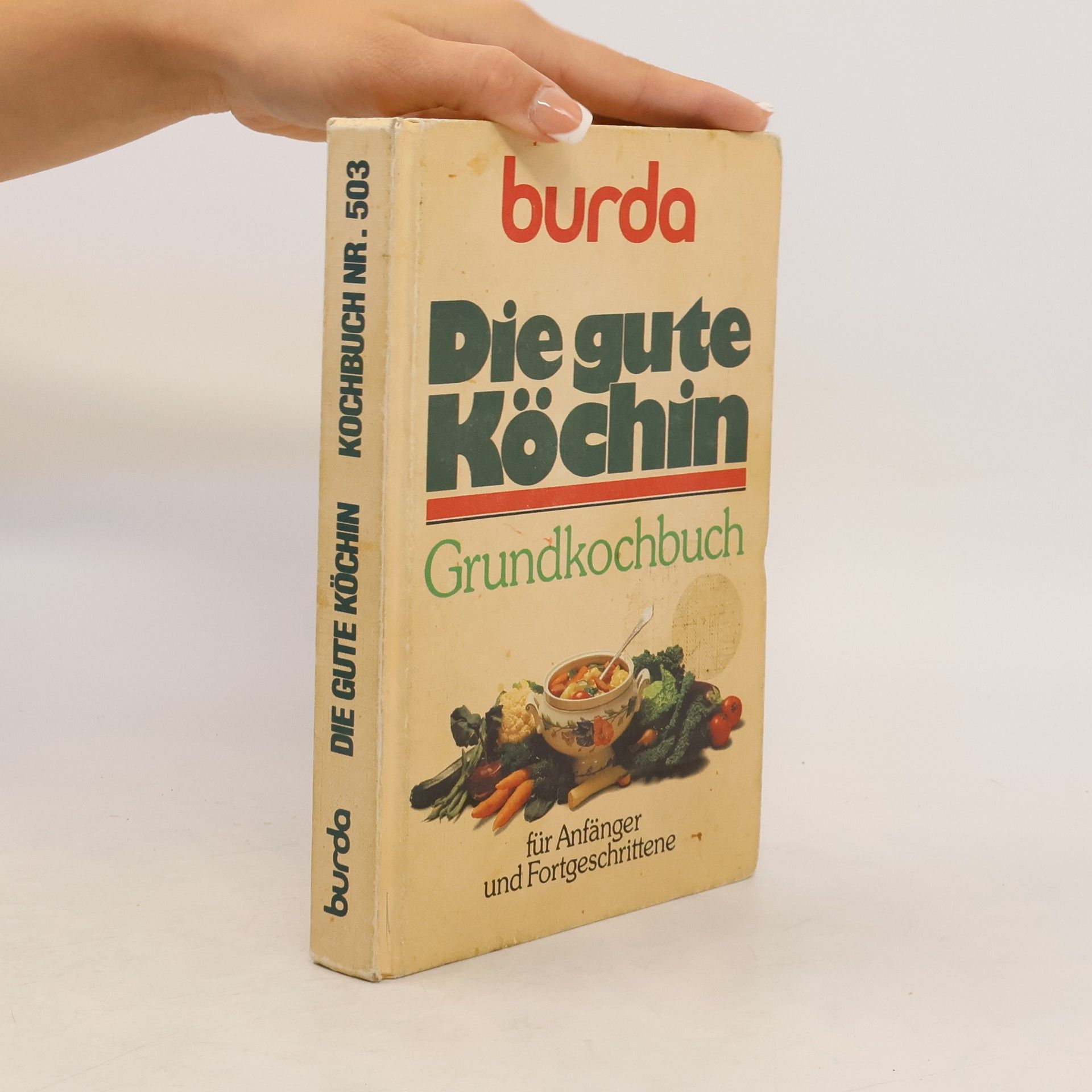 Renate Derndinger Die gute Köchin