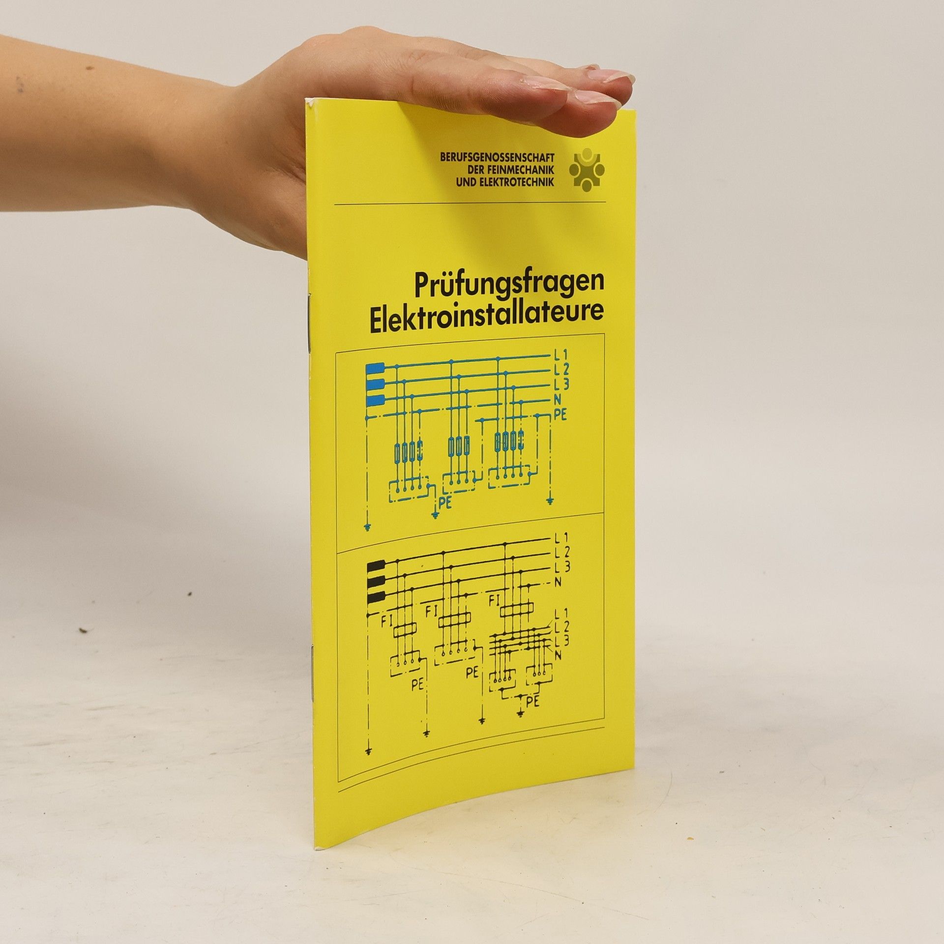 Autorenkollektiv Prüfungsfragen Elektroinstallateure