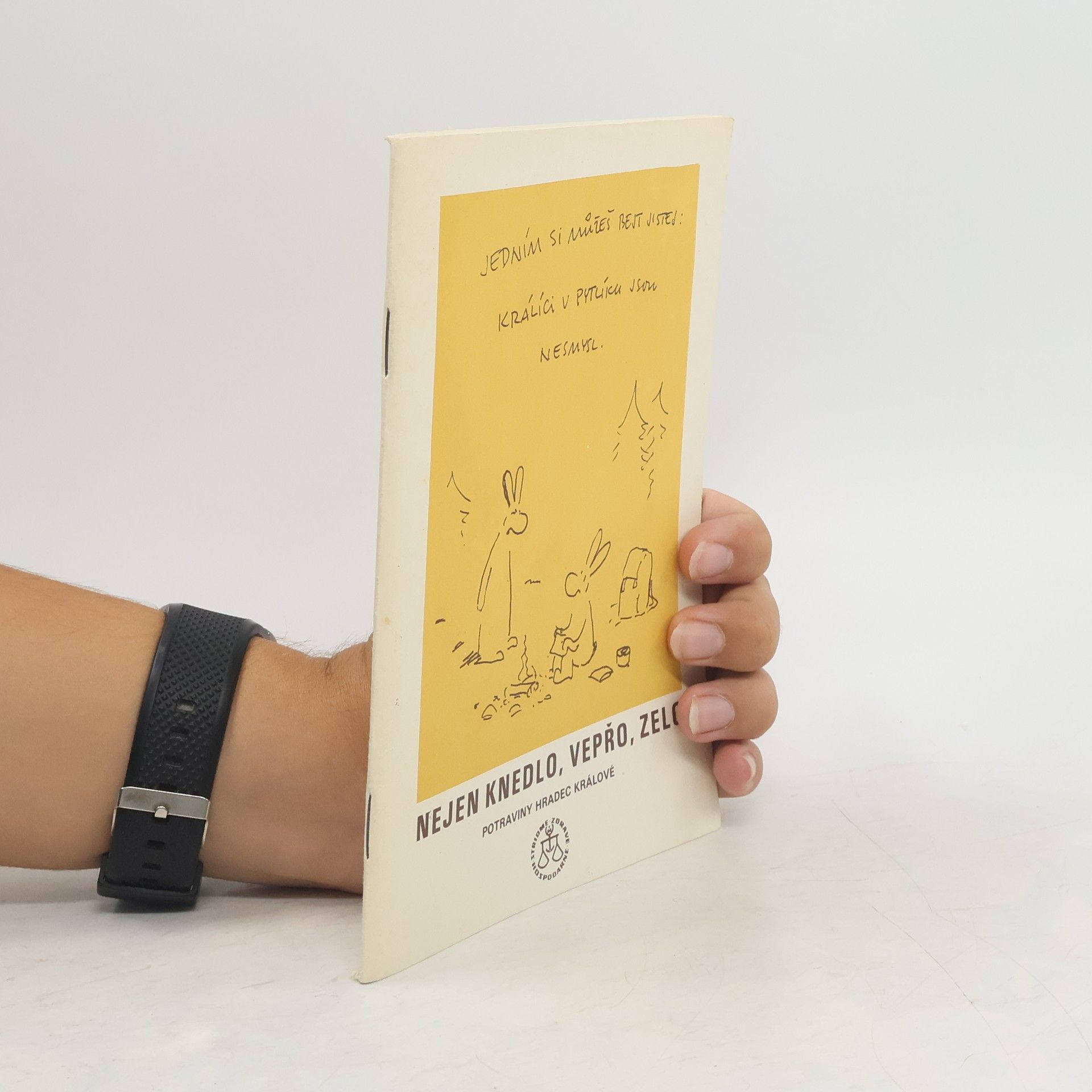 Kolektiv autorů Nejen knedlo, vepřo, zelo