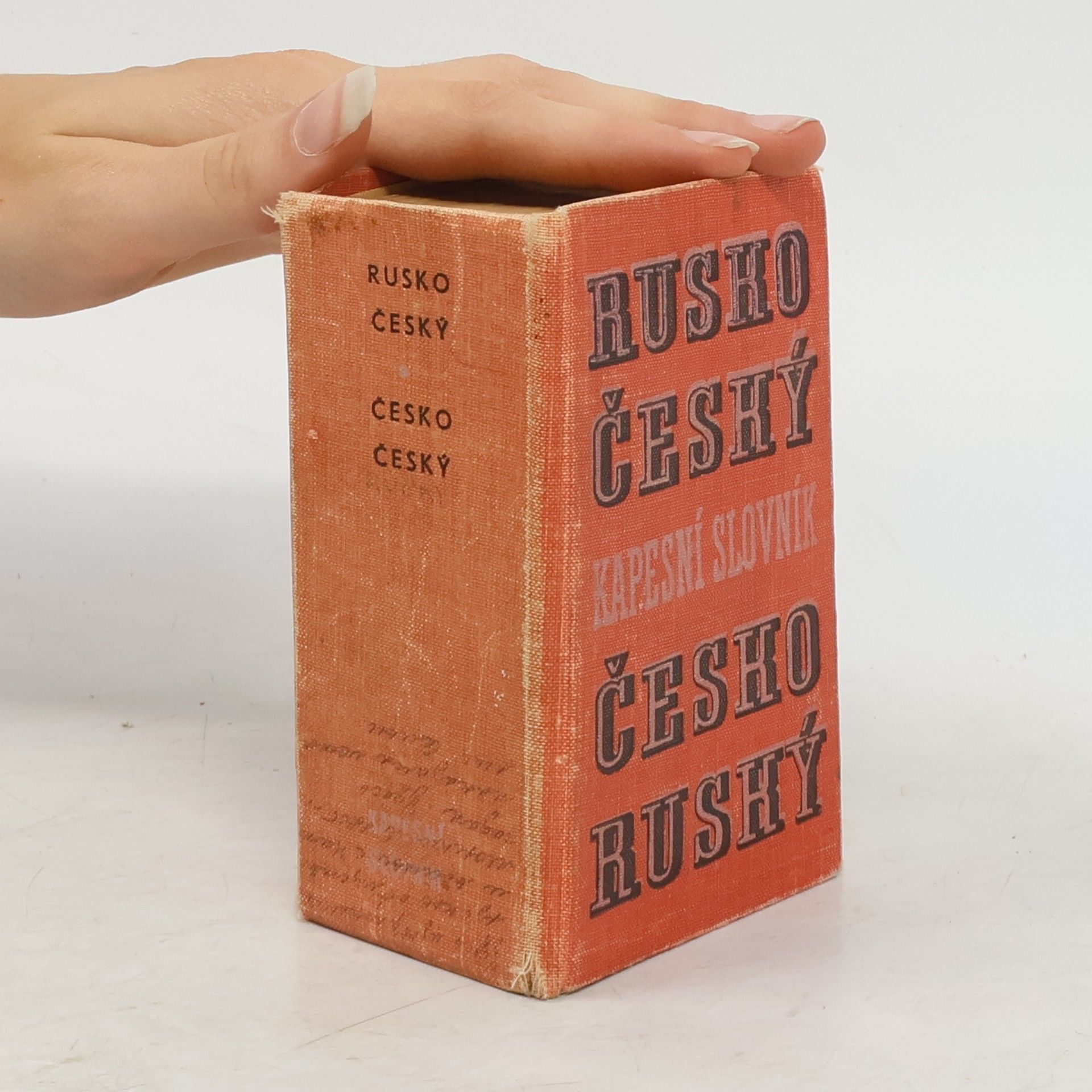 Autorenkollektiv Rusko-český, česko-ruský kapesní slovník