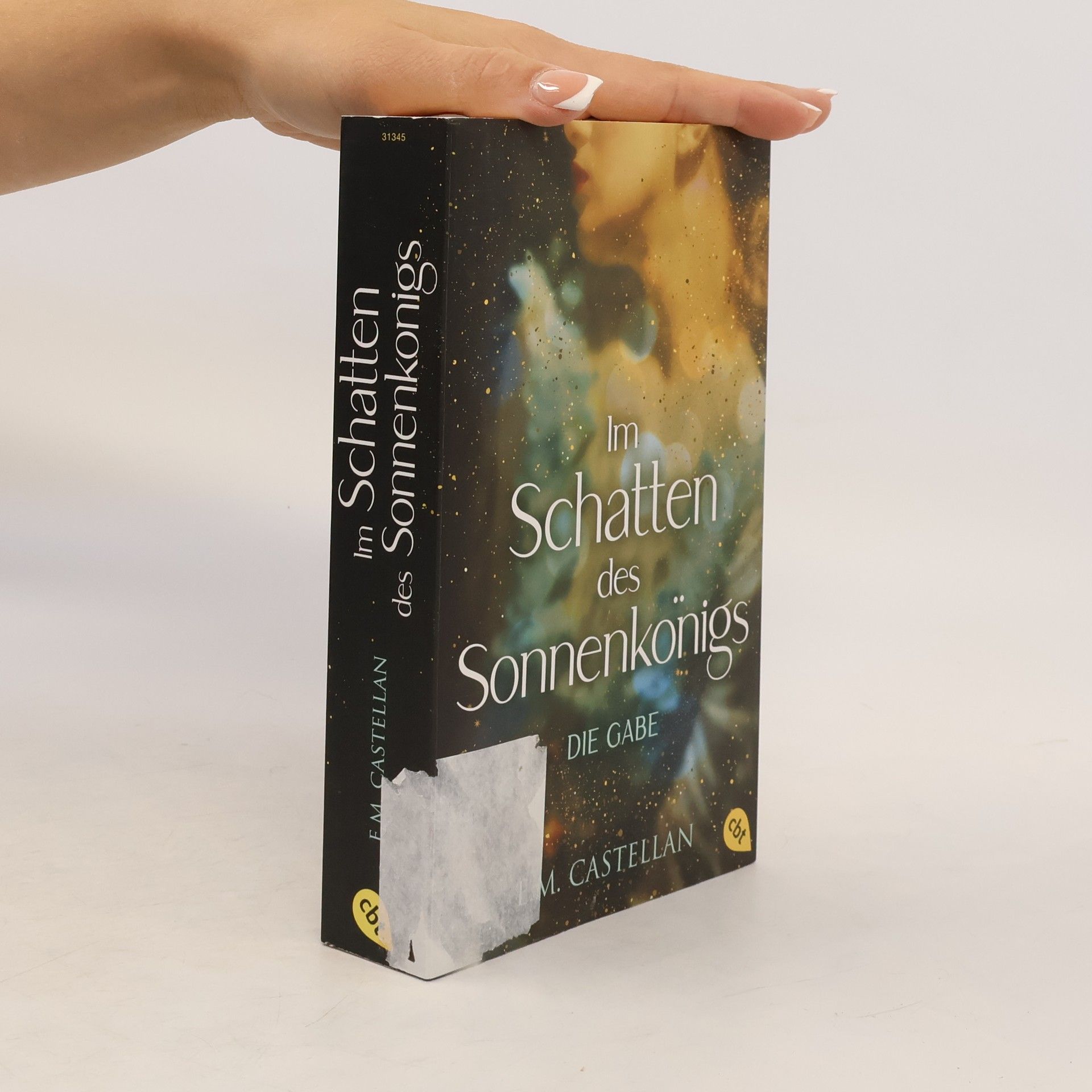 Andrea Castellan Im Schatten des Sonnenkönigs - Die Gabe