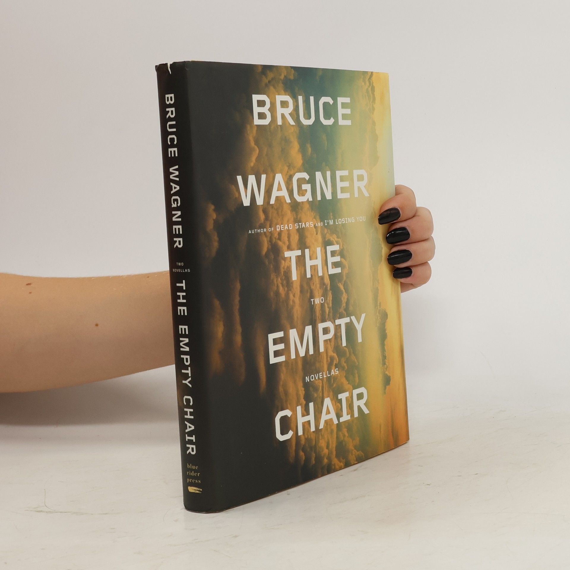 Bruce Wagner The Empty Chair