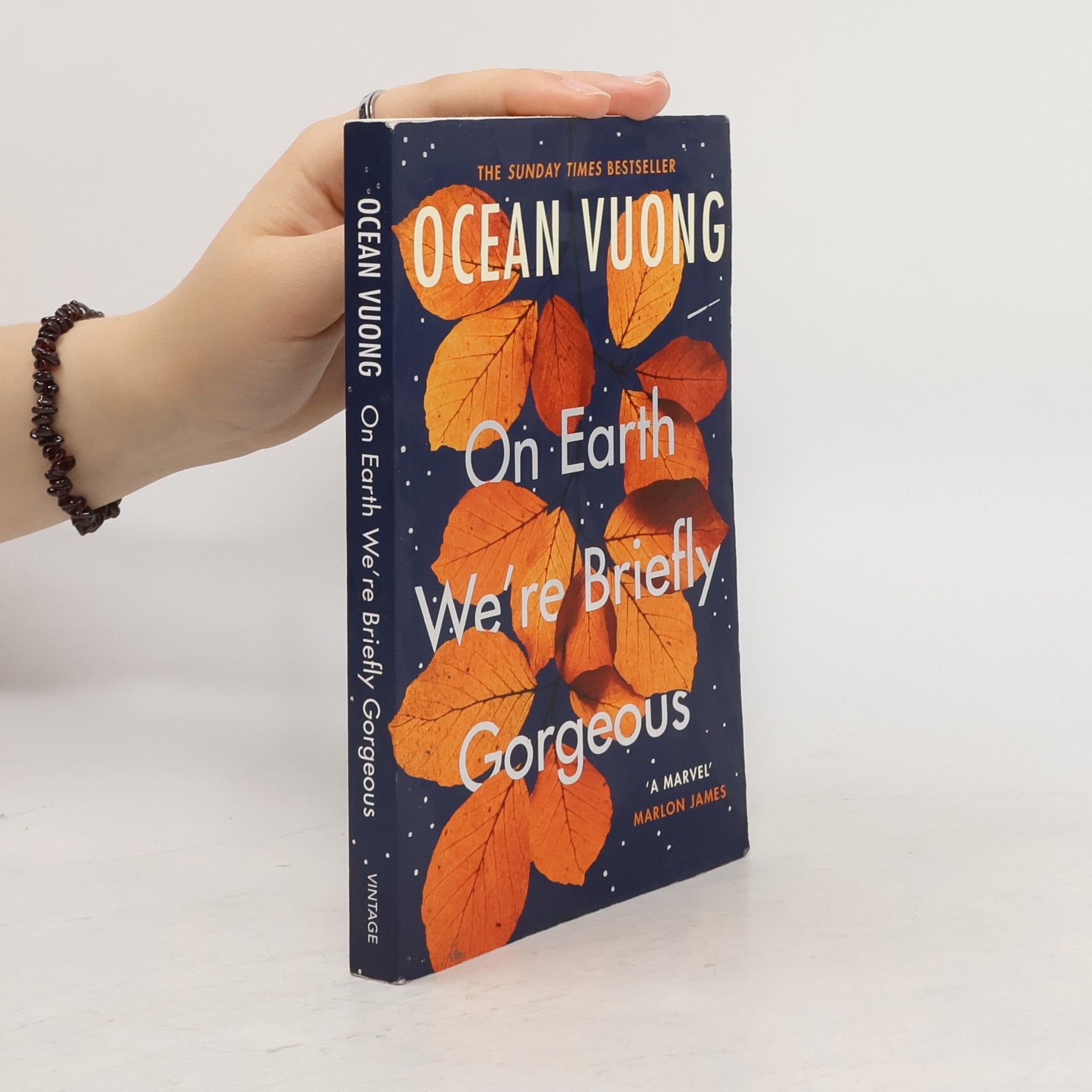 Ocean Vuong On Earth We're Briefly Gorgeous