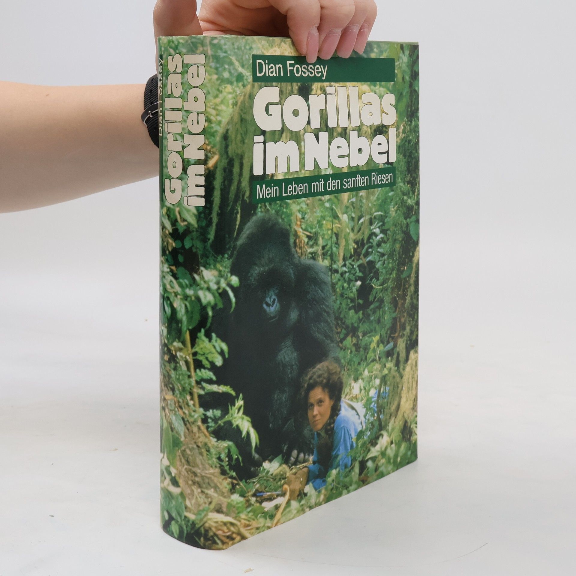 Dian Fossey Gorillas im Nebel