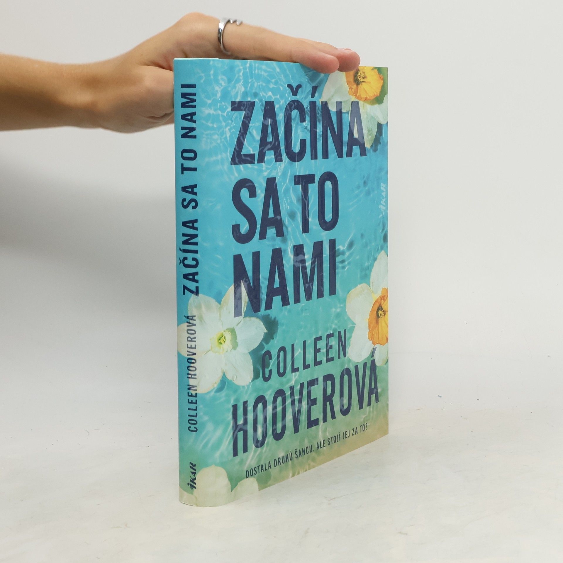 Colleen Hoover Začína sa to nami